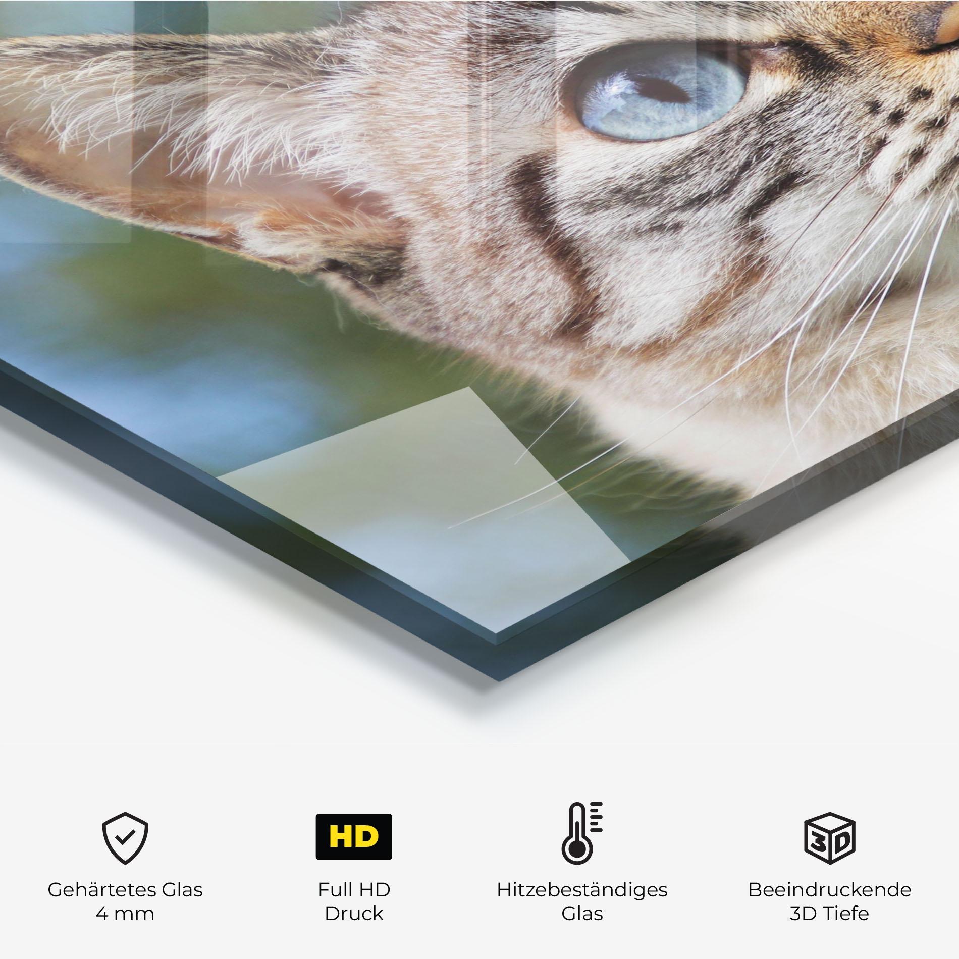 Küchenrückwand Glas Blue Eyes Cutie mockup 2