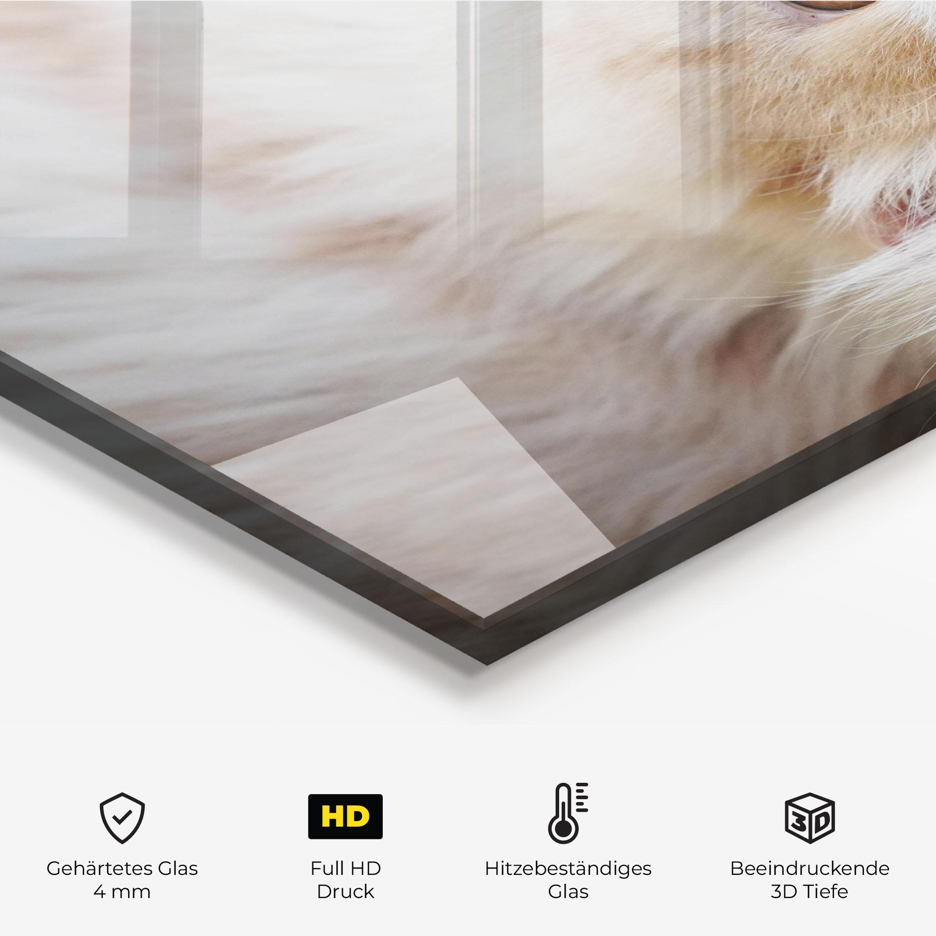 Küchenrückwand Glas Close Up Yellow Eyes Cat mockup 2