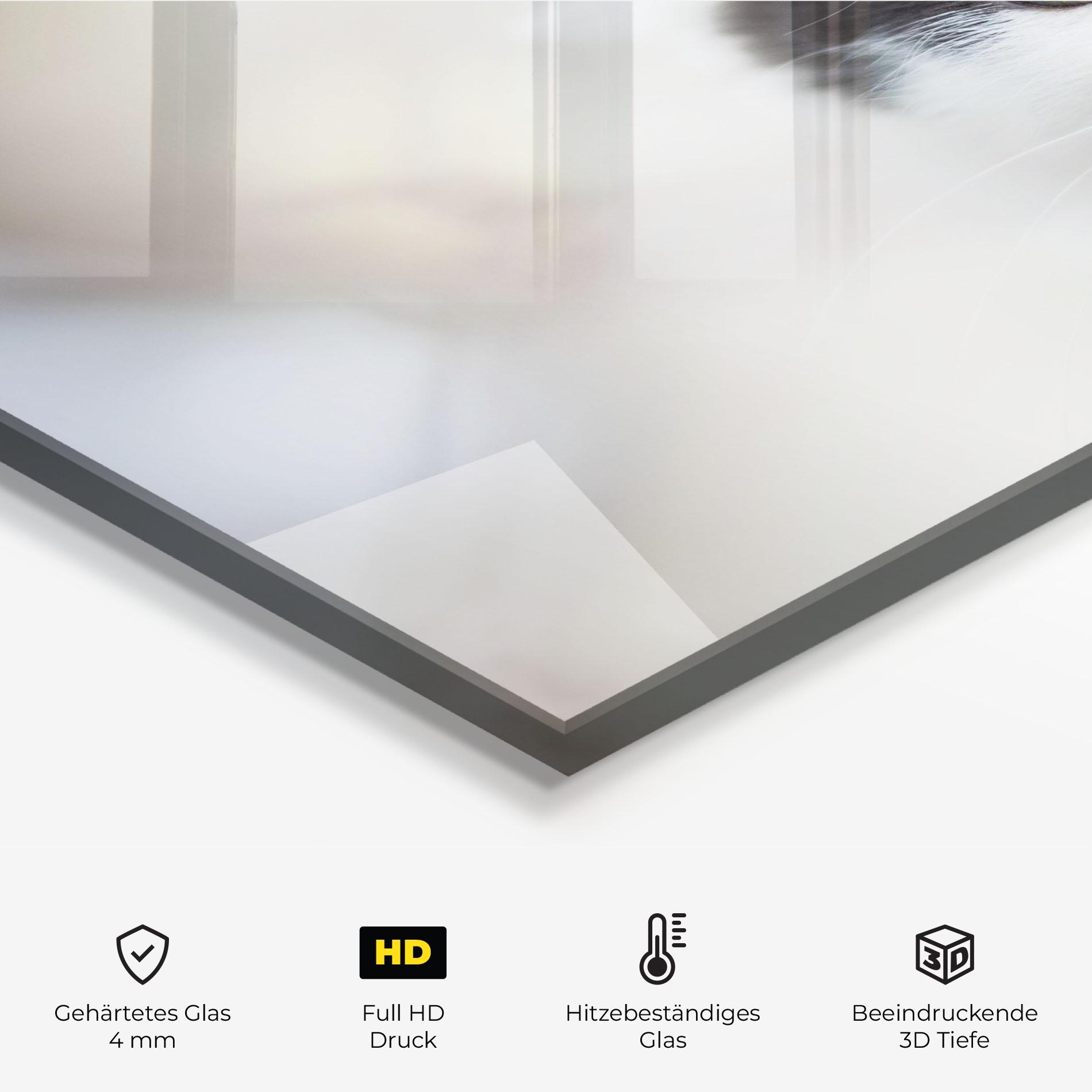 Küchenrückwand Glas Cutie Cat mockup 2