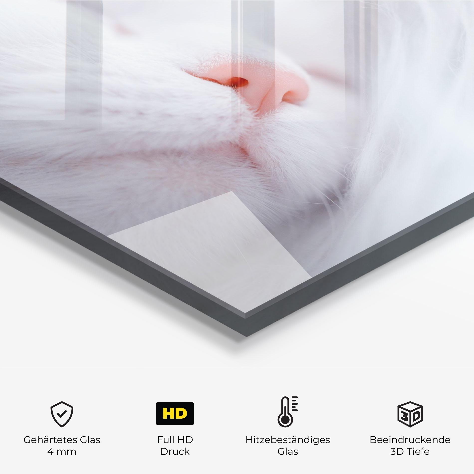 Küchenrückwand Glas Dreamy White Cat mockup 2