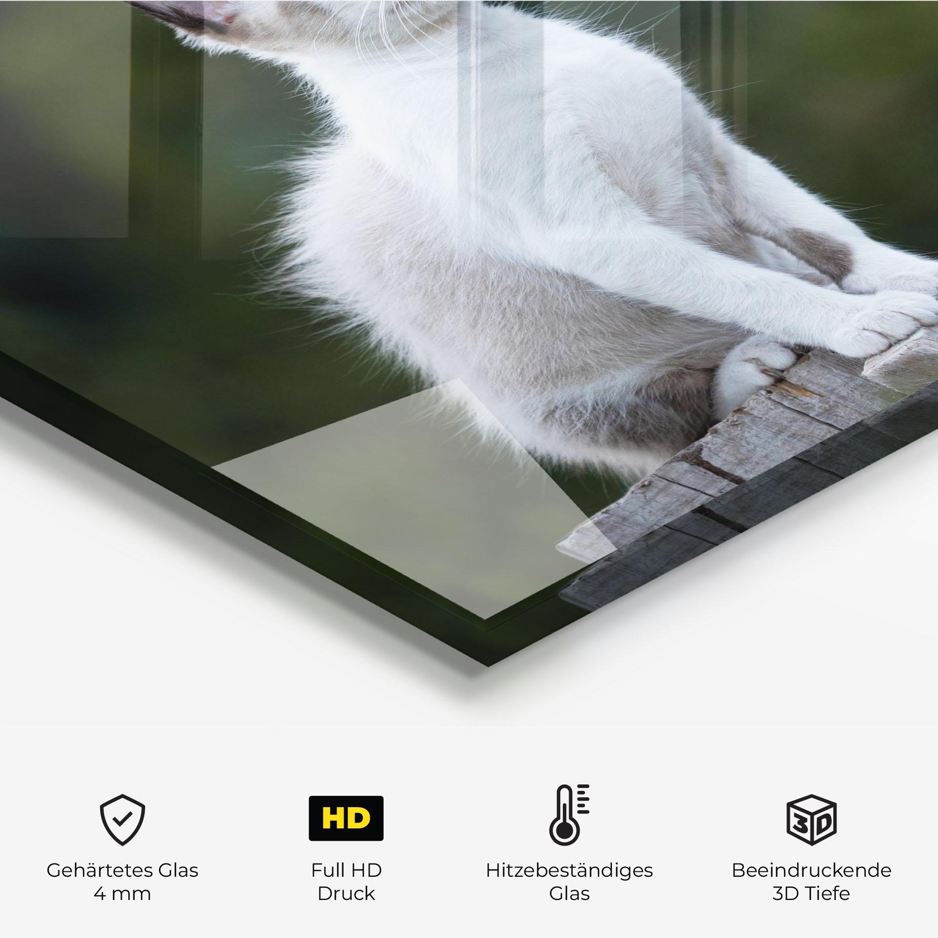 Küchenrückwand Glas Grey Cat In Nature mockup 2
