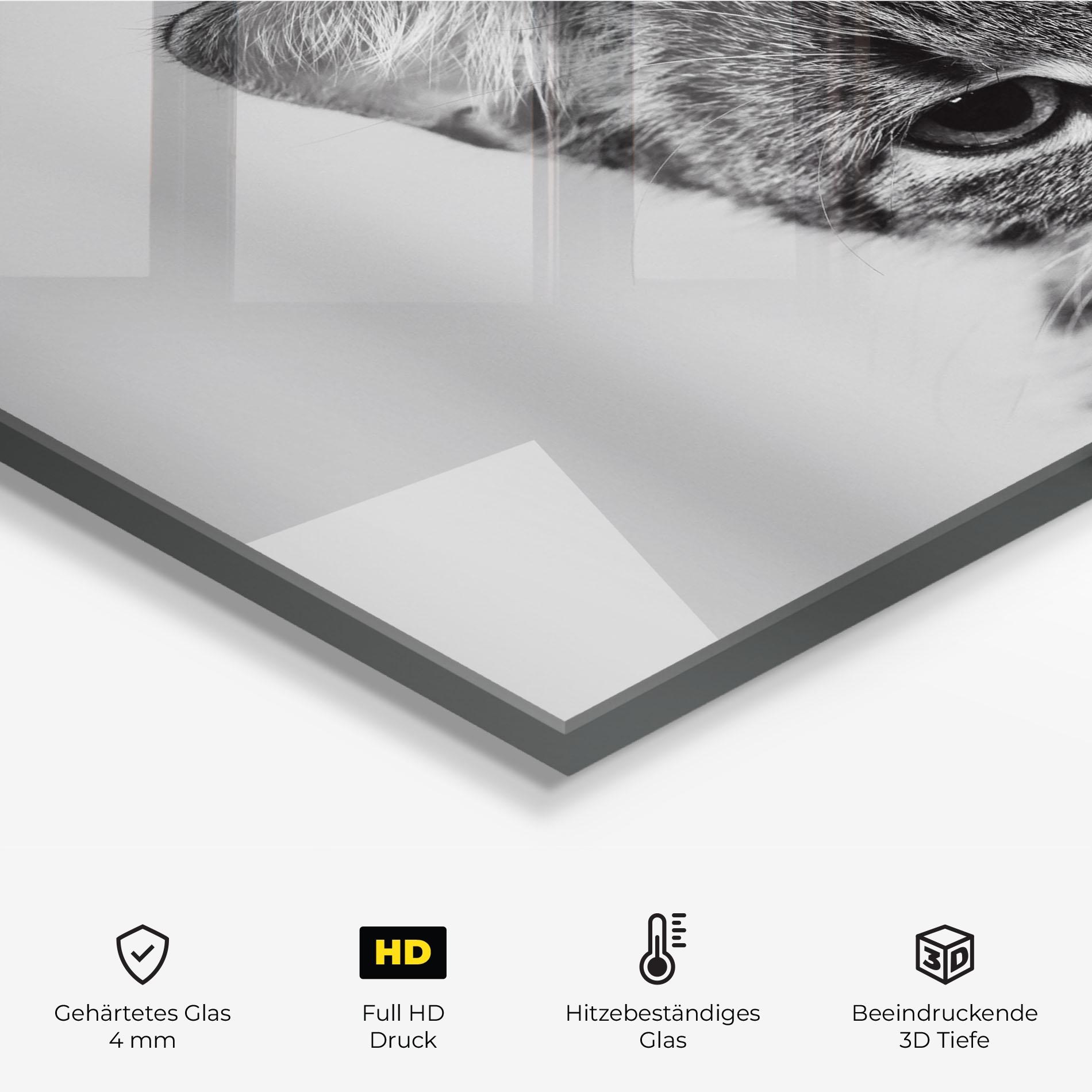 Küchenrückwand Glas Grey Focused Cat mockup 2