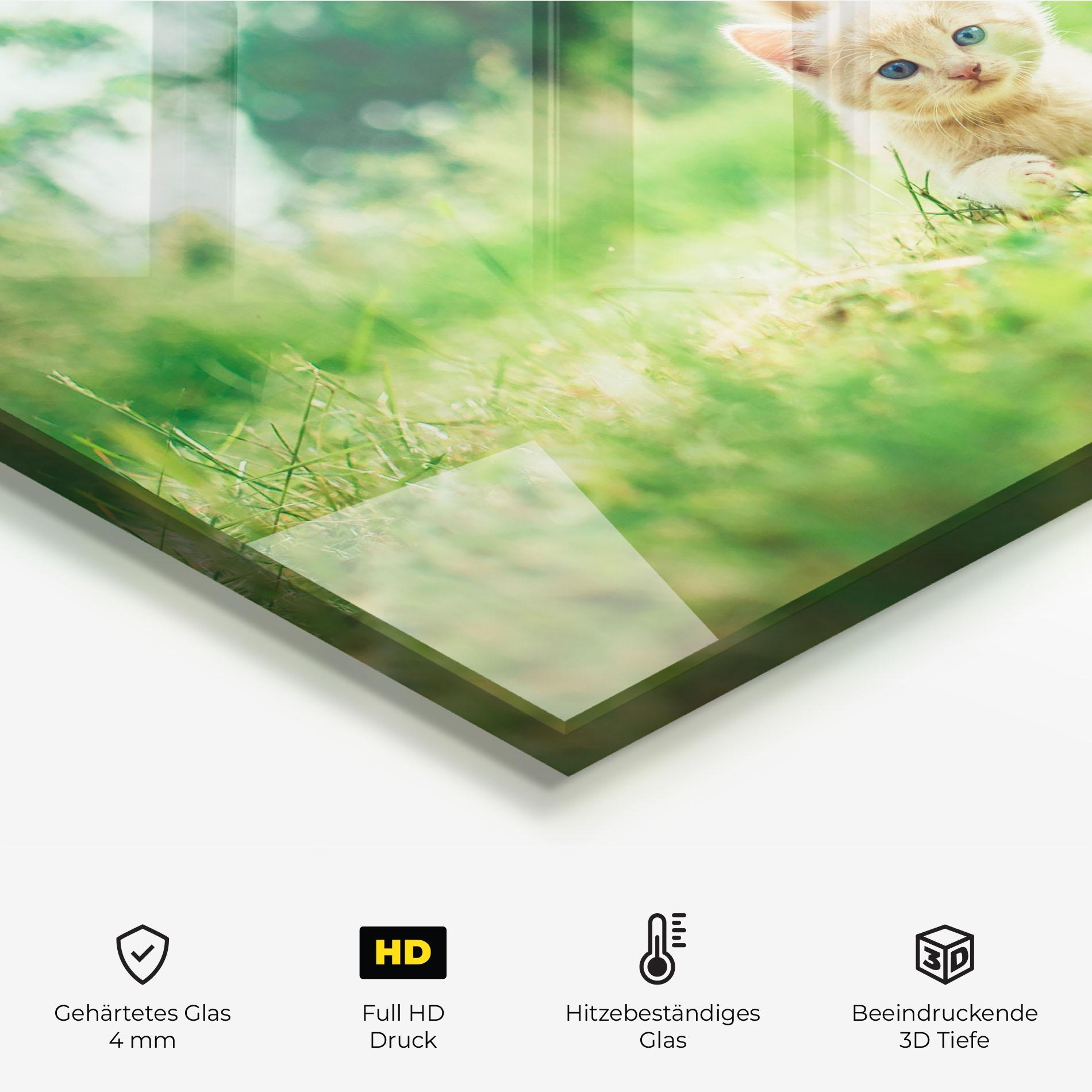 Küchenrückwand Glas Little Cute Cat mockup 2