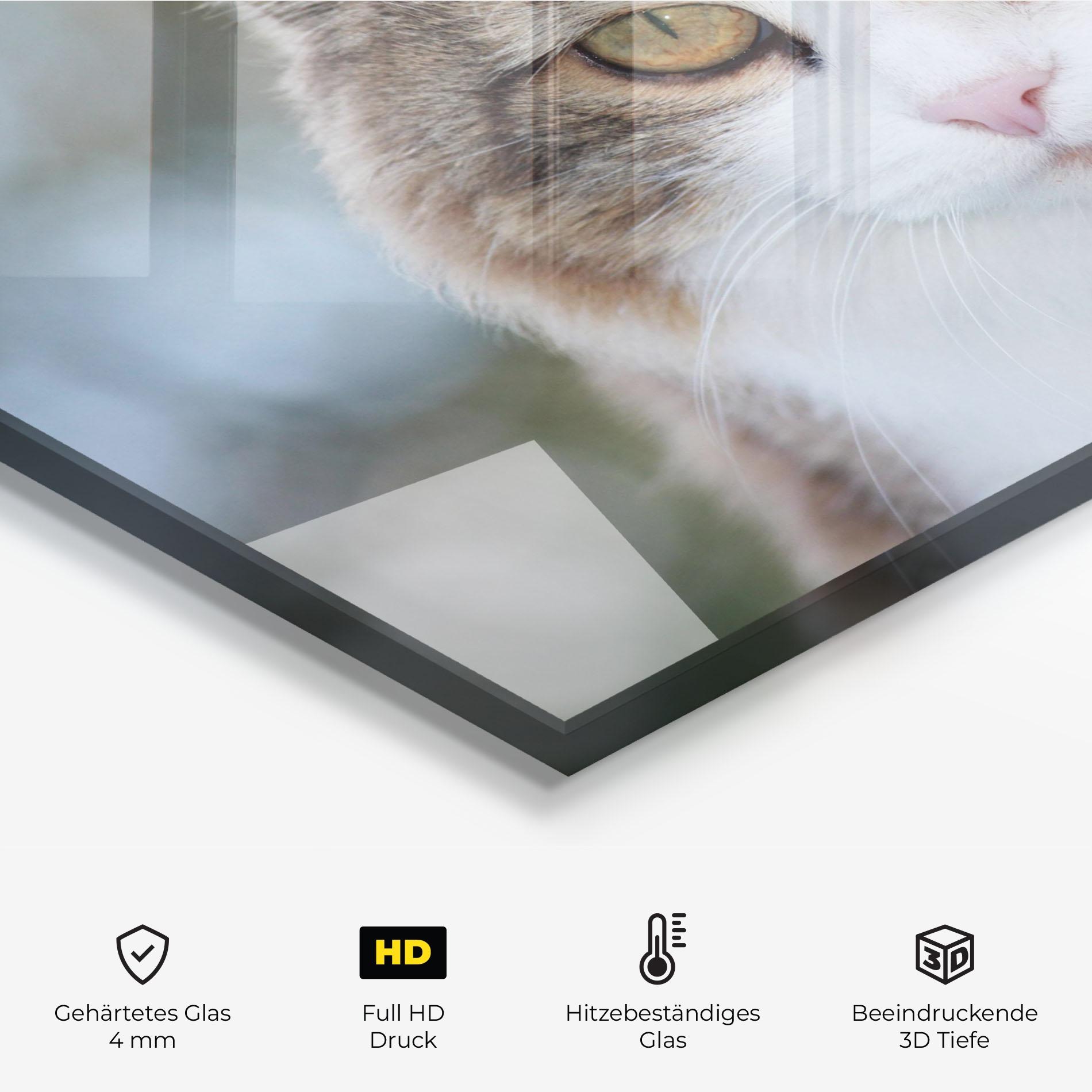 Küchenrückwand Glas Orange Brown Cat mockup 2