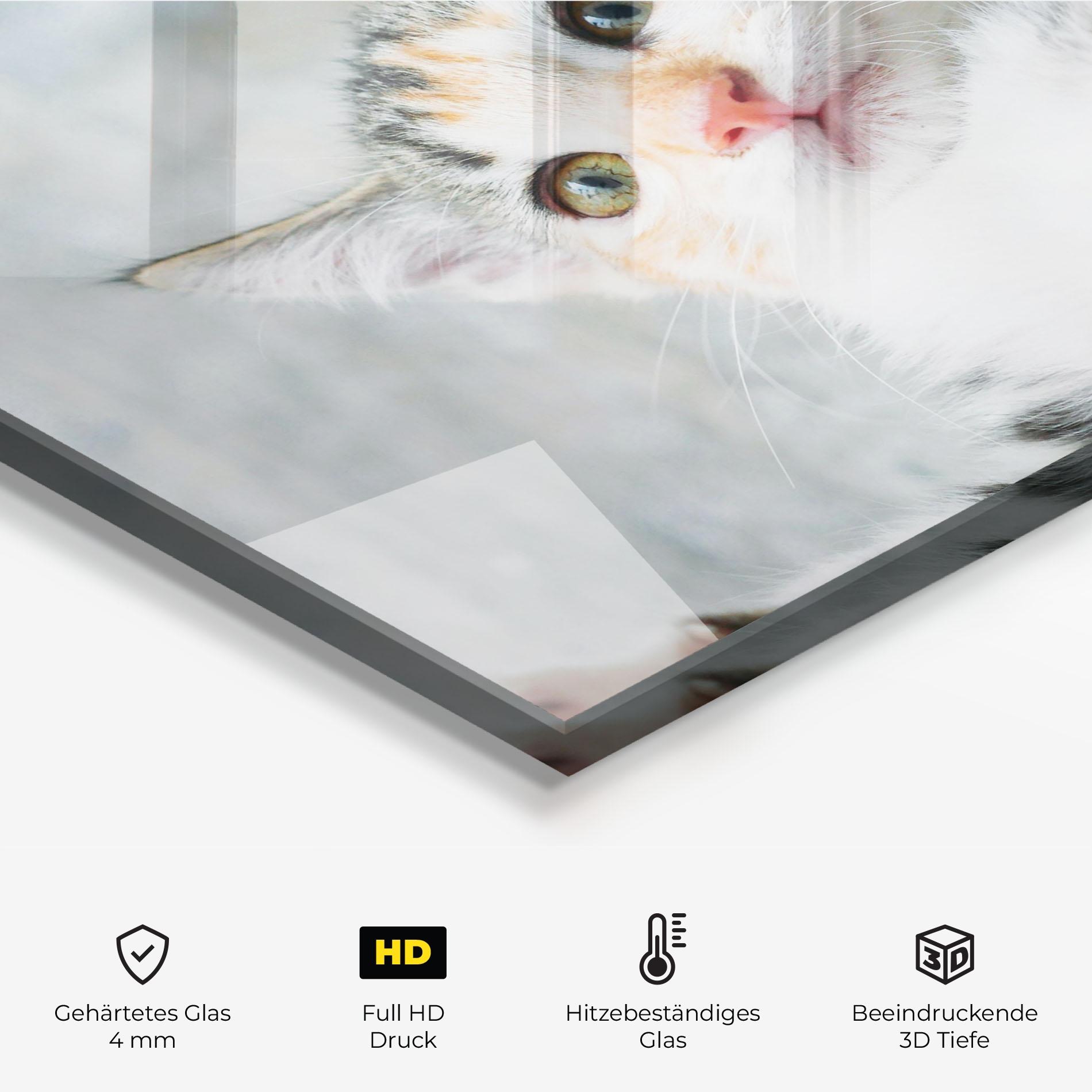 Küchenrückwand Glas Pretty Pink Nose Cat mockup 2
