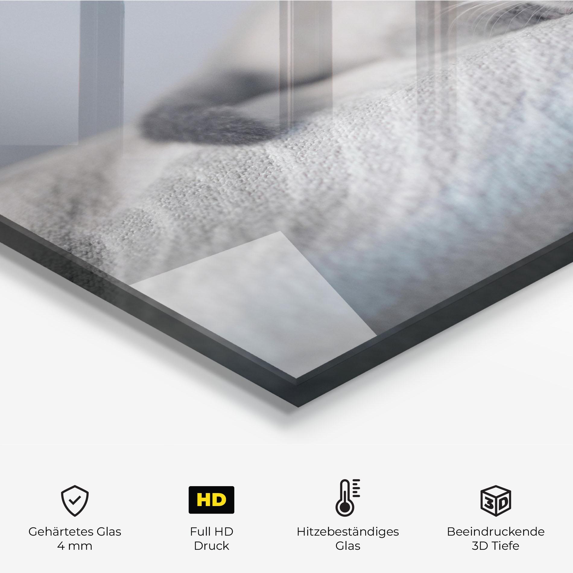 Küchenrückwand Glas Sleepy Grey Cat mockup 2