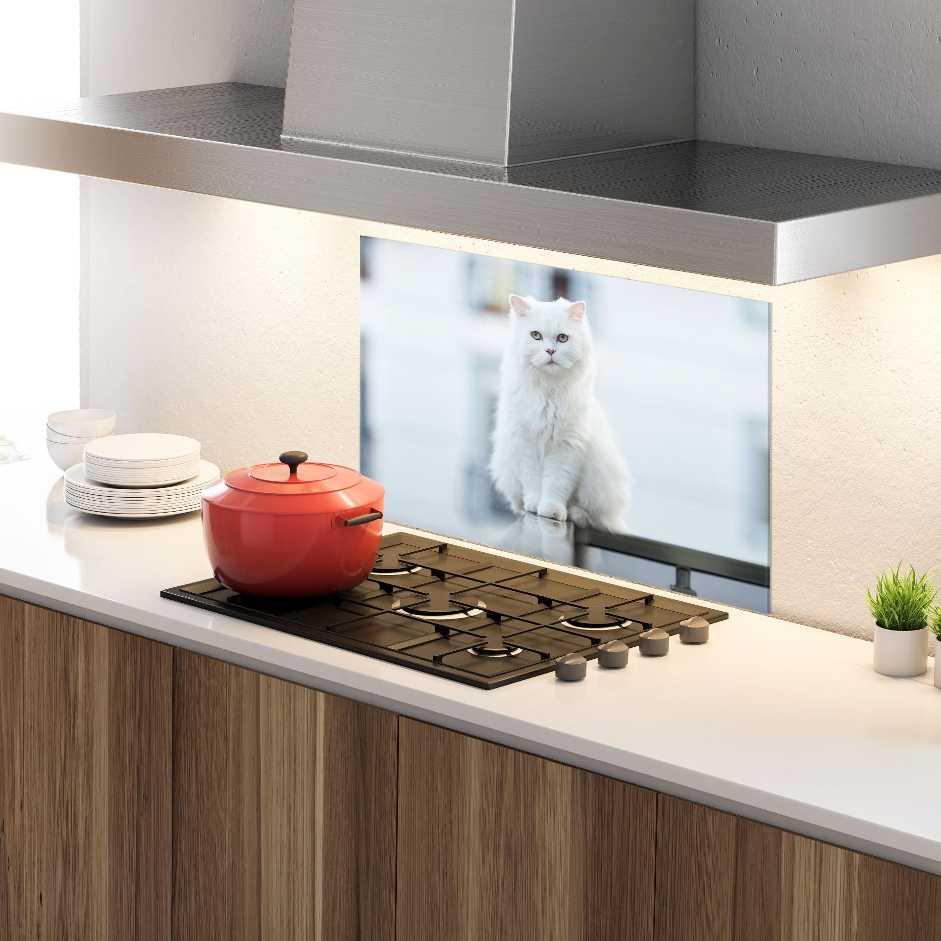 Küchenrückwand Glas Big White Cat mockup 4