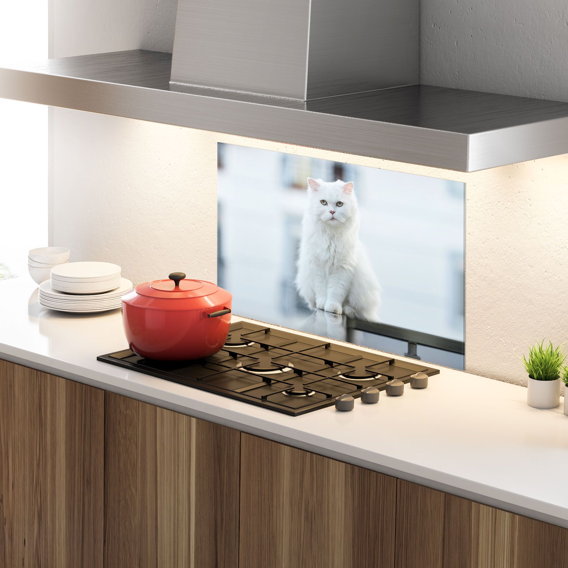 Big White Cat mockup 4