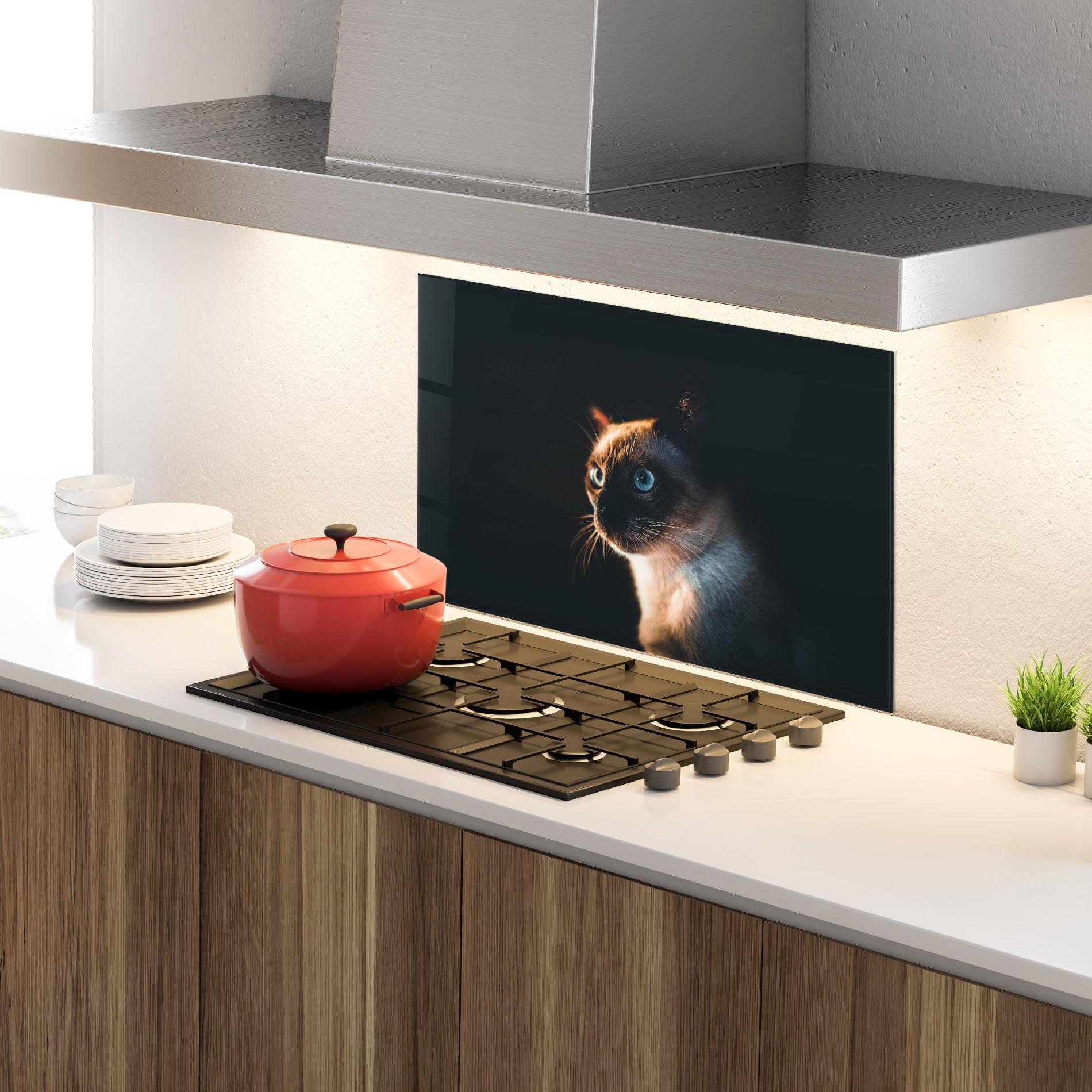 Küchenrückwand Glas Blue Eyes Cat In Dark mockup 4