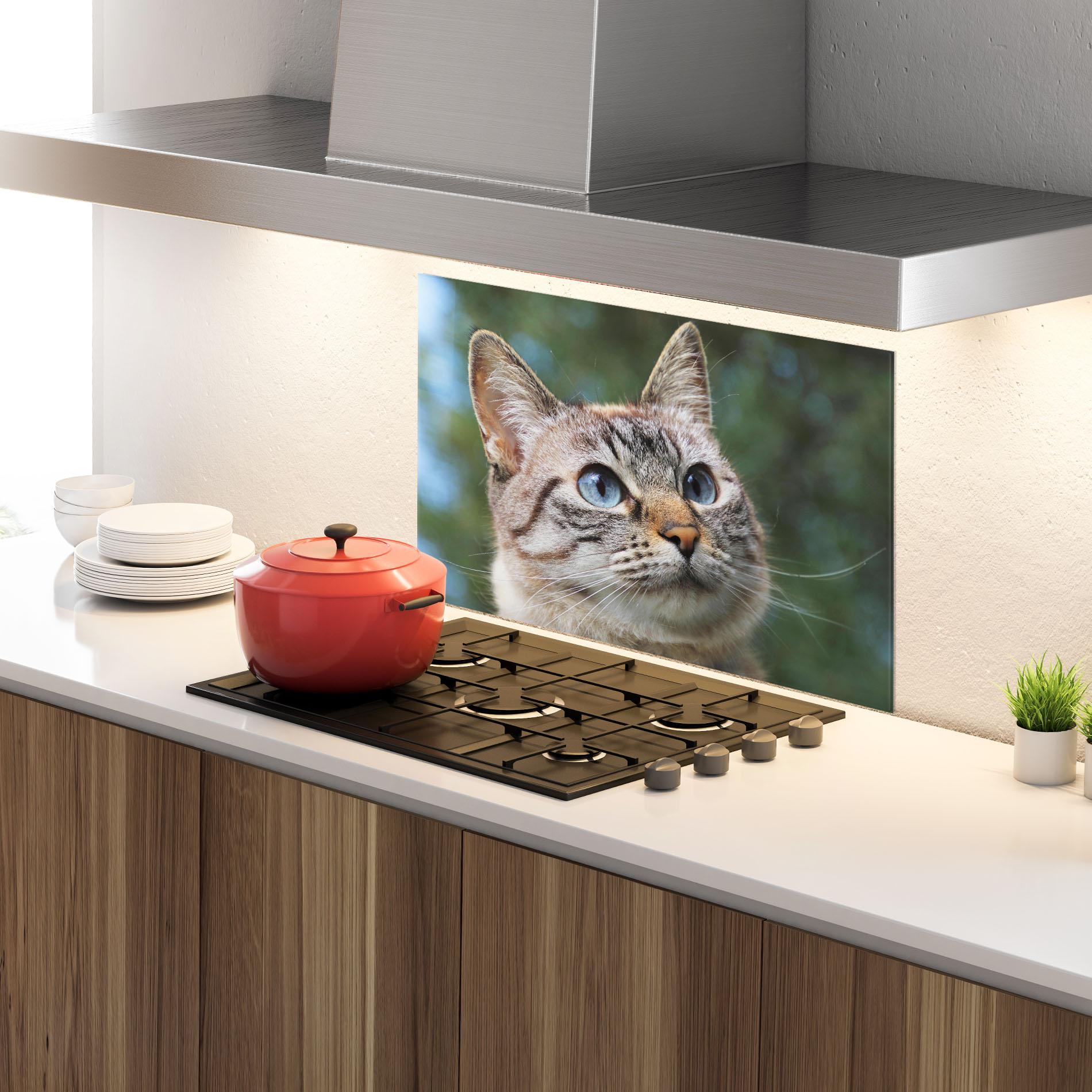 Küchenrückwand Glas Blue Eyes Cutie mockup 4