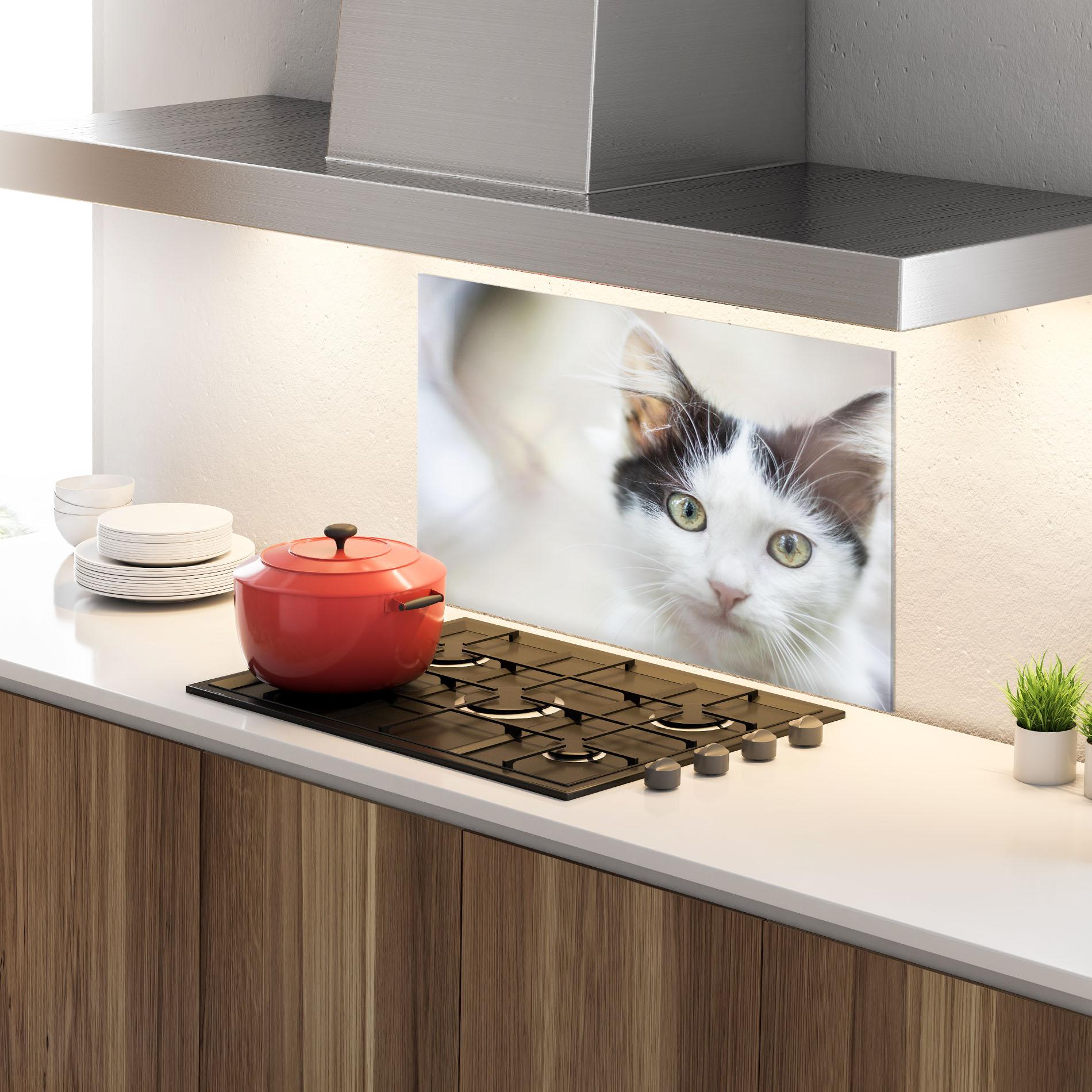 Küchenrückwand Glas Cutie Cat mockup 4