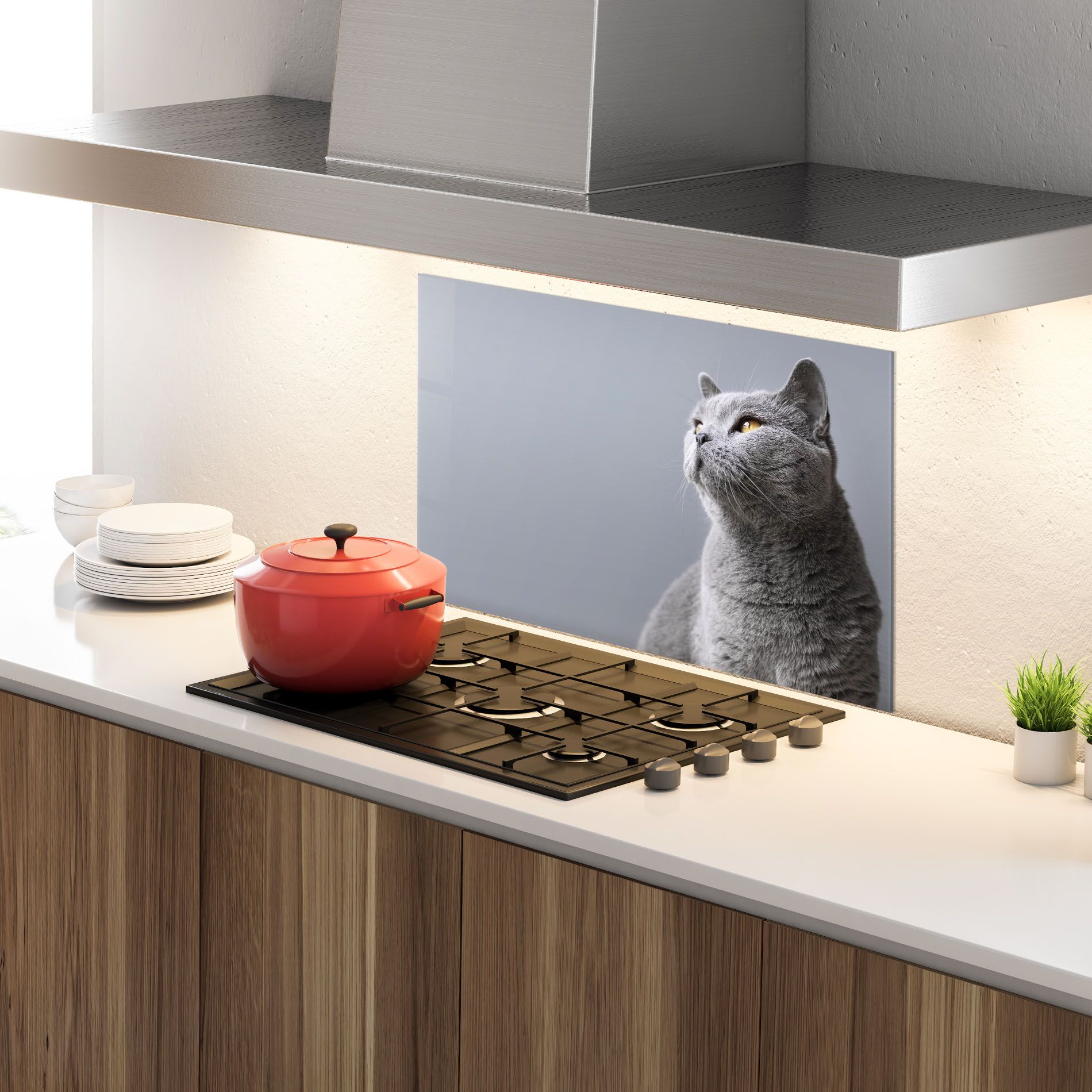 Gray Kitty mockup 4