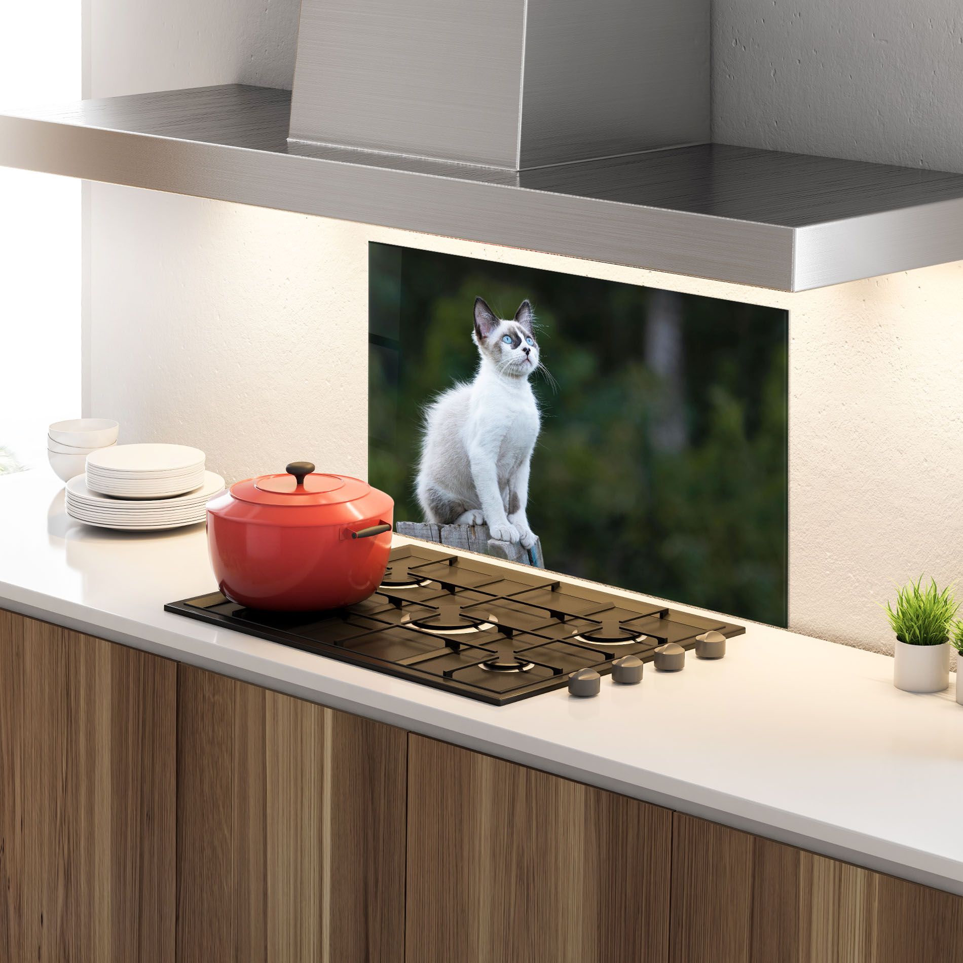 Grey Cat In Nature mockup 4