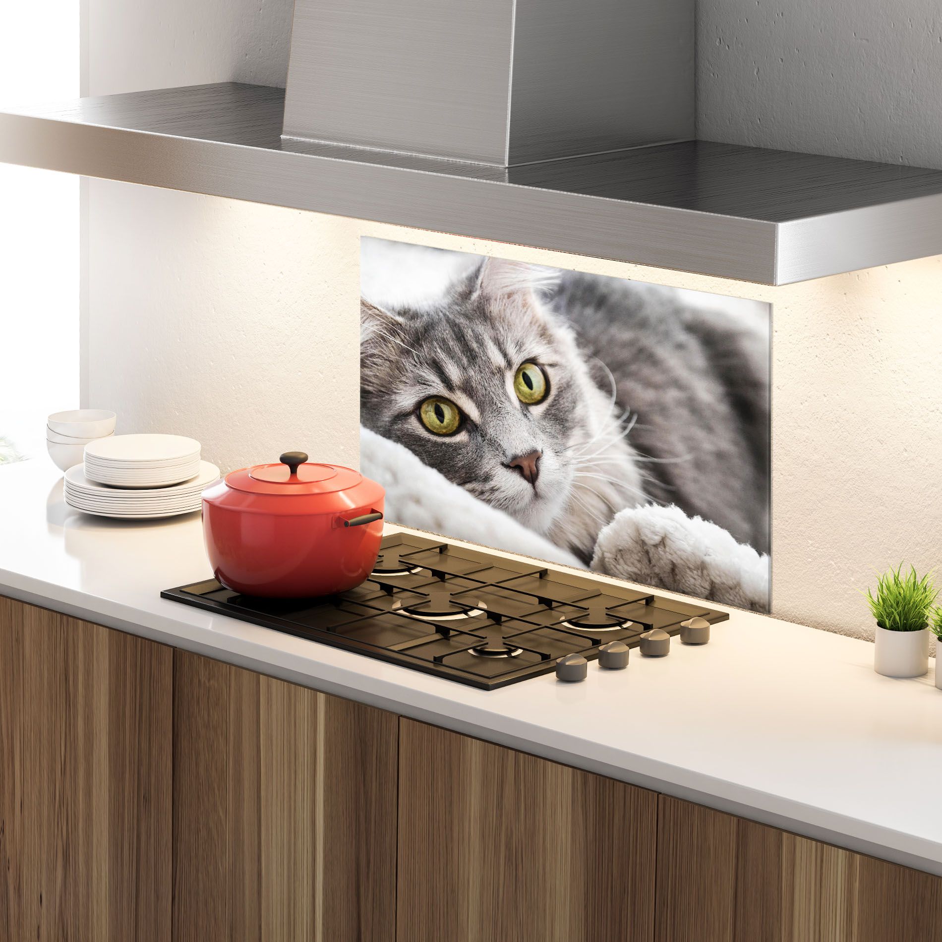 Grey Fluffy Cat mockup 4