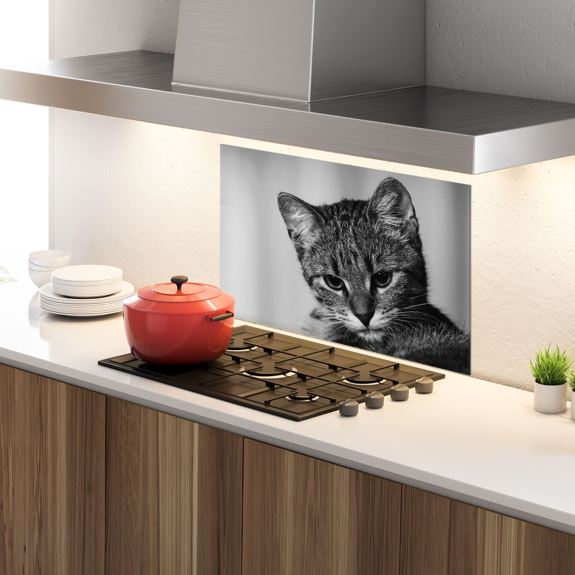 Grey Focused Cat mockup 4