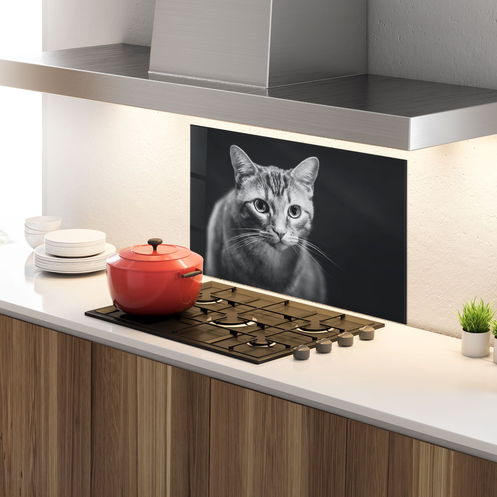 Grey Kitty On Black mockup 4