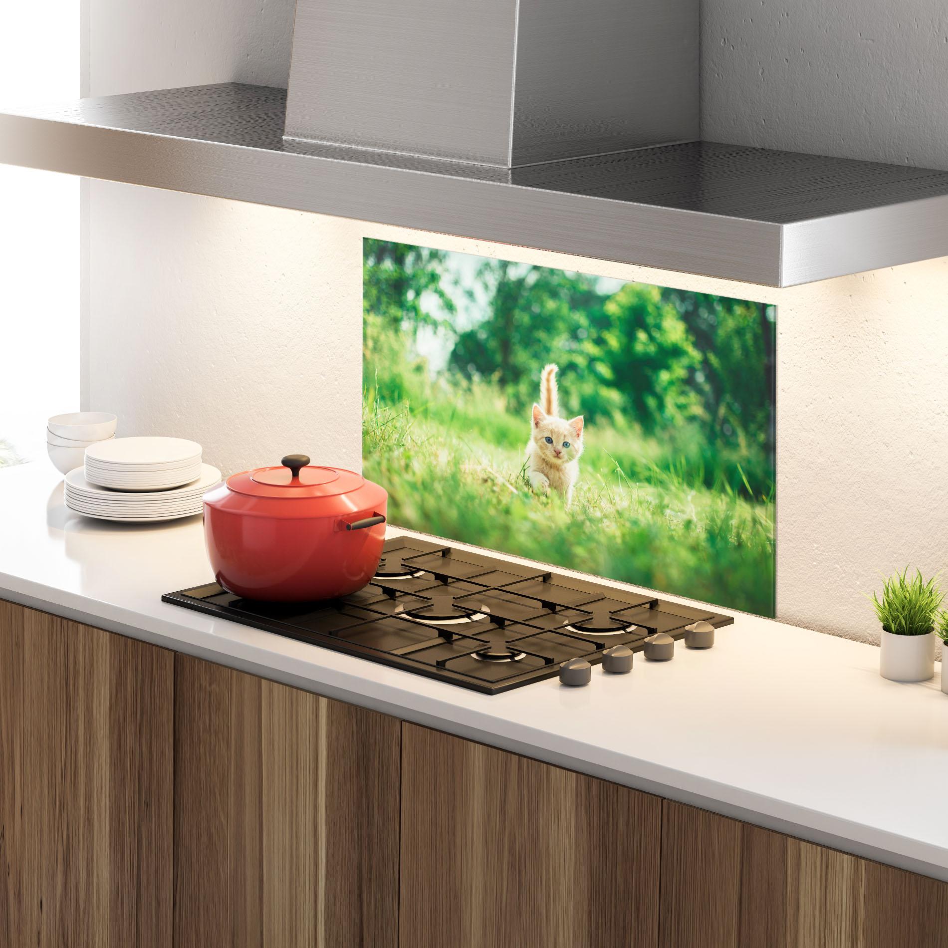 Küchenrückwand Glas Little Cute Cat mockup 4