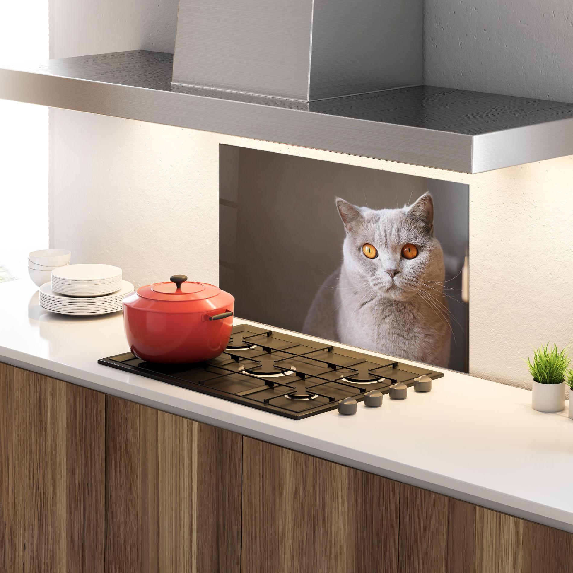 Küchenrückwand Glas Orange Eyes Cat mockup 4