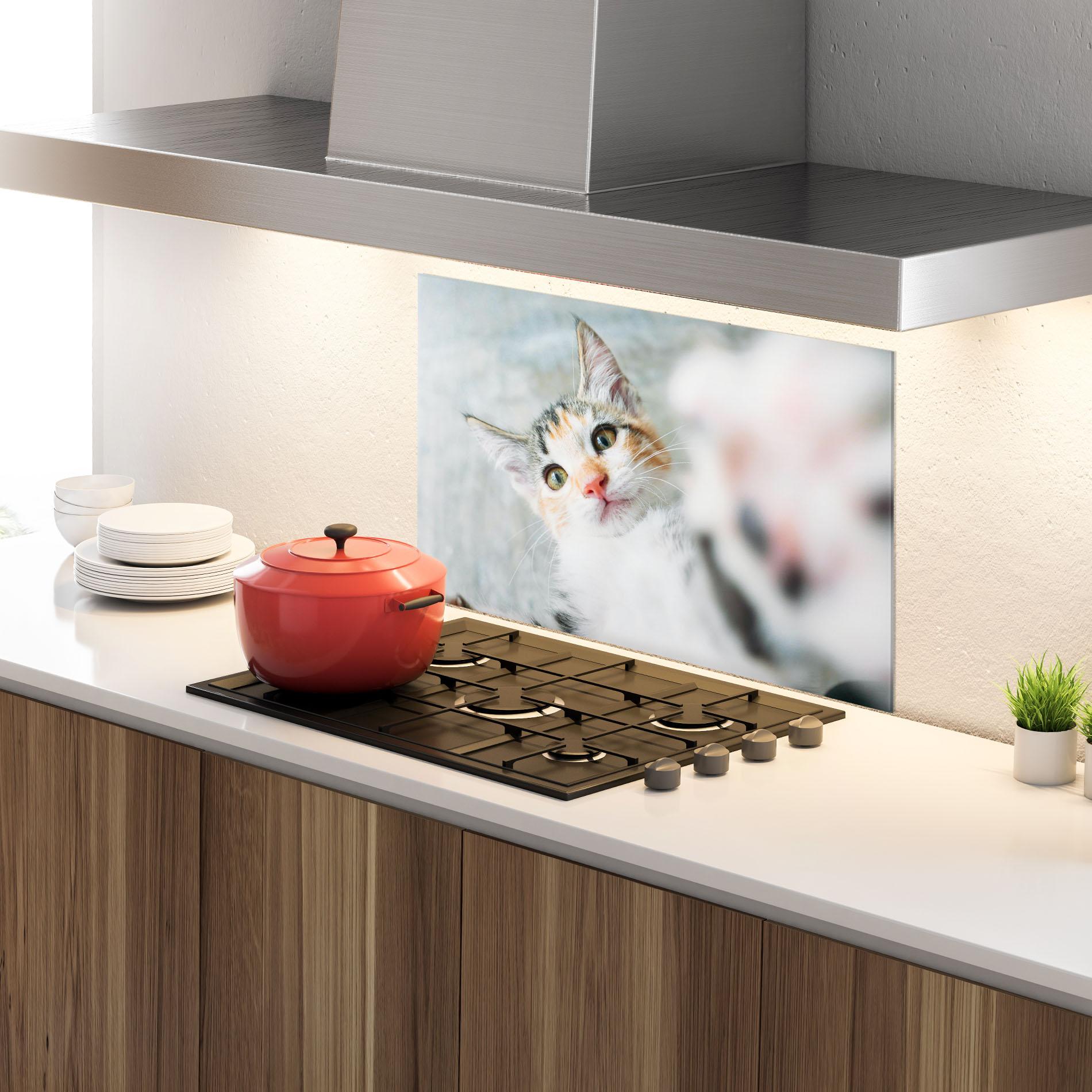 Küchenrückwand Glas Pretty Pink Nose Cat mockup 4