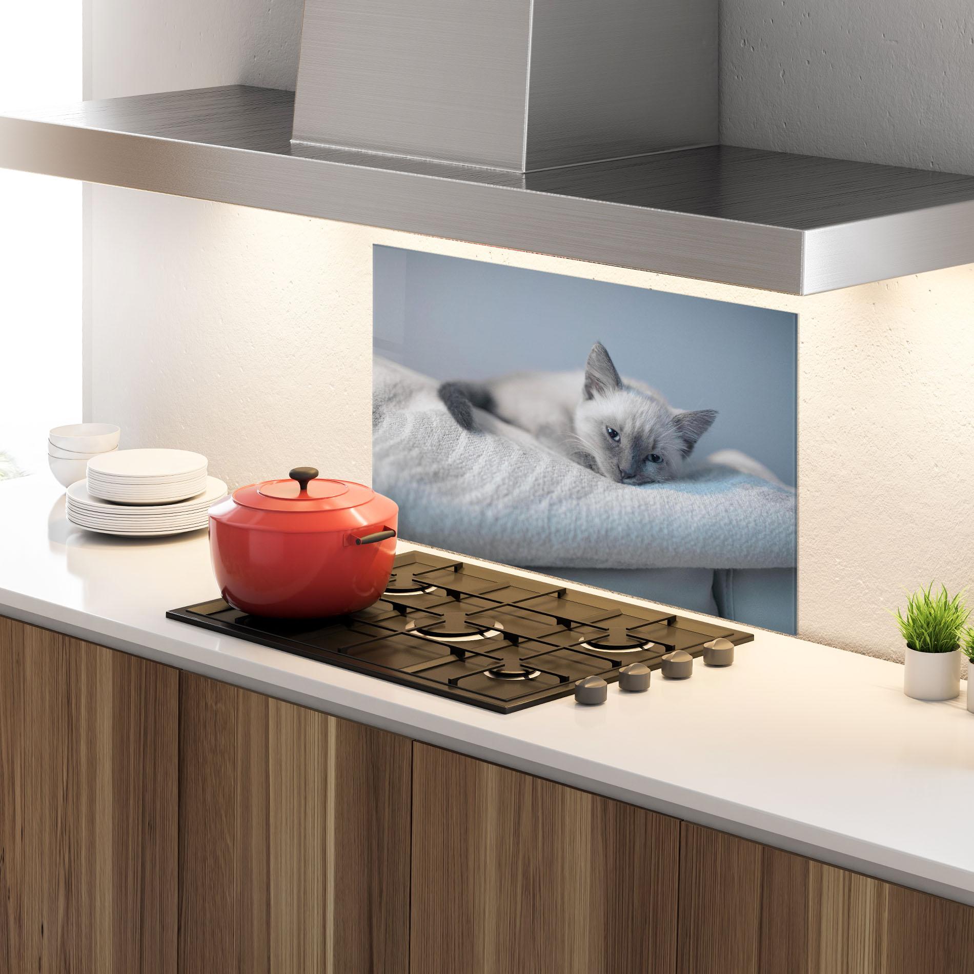 Küchenrückwand Glas Sleepy Grey Cat mockup 4