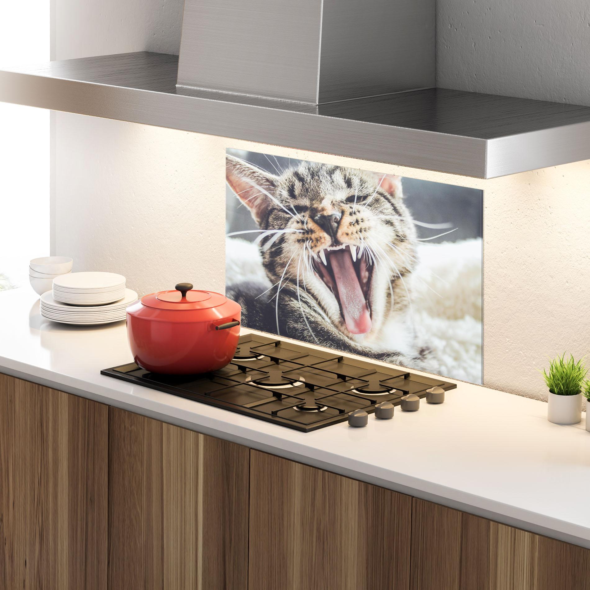 Küchenrückwand Glas Wroar Cat mockup 4