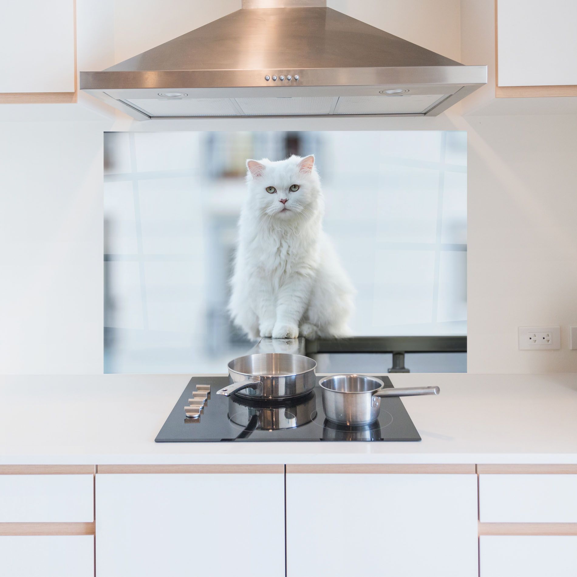 Big White Cat mockup 5