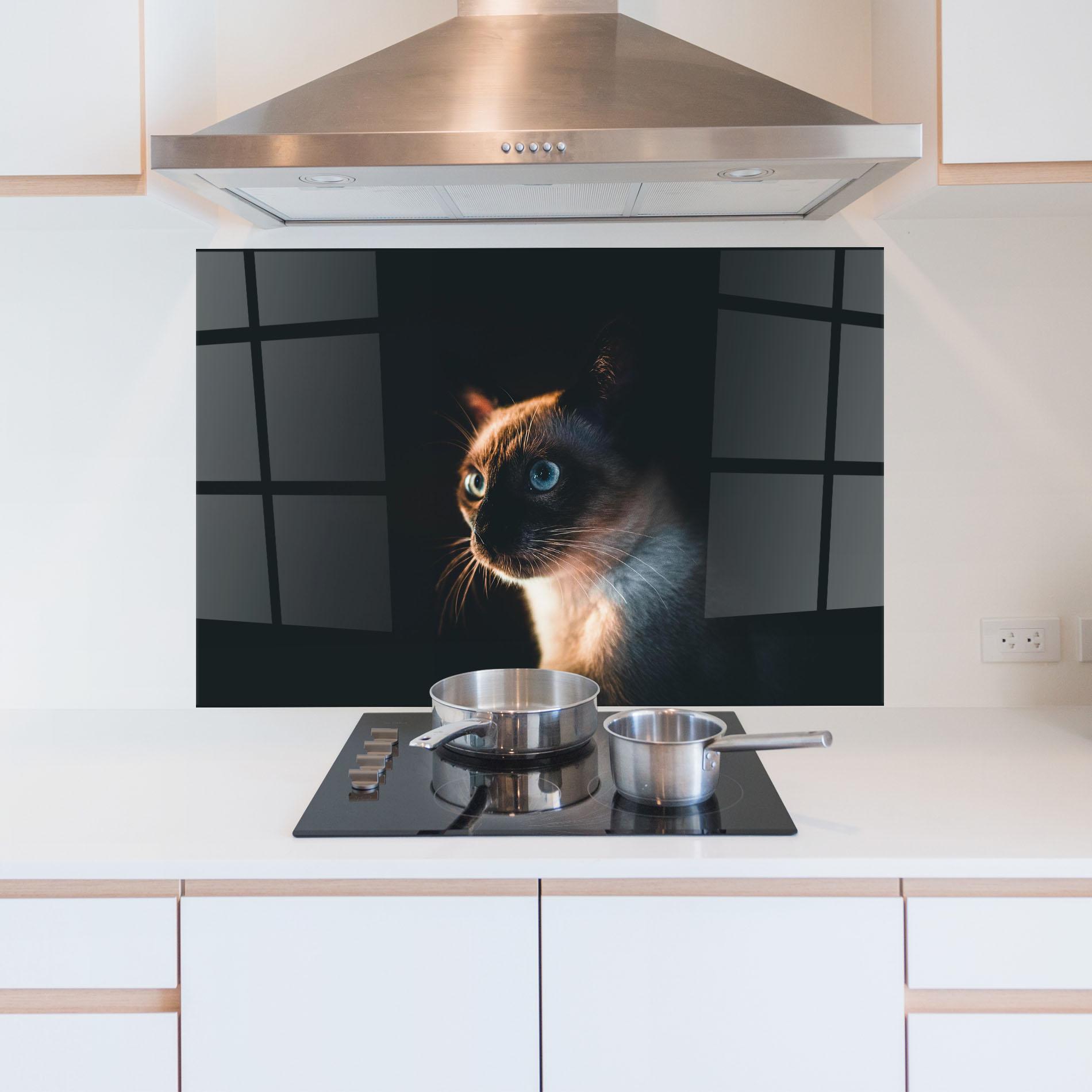 Küchenrückwand Glas Blue Eyes Cat In Dark mockup 5