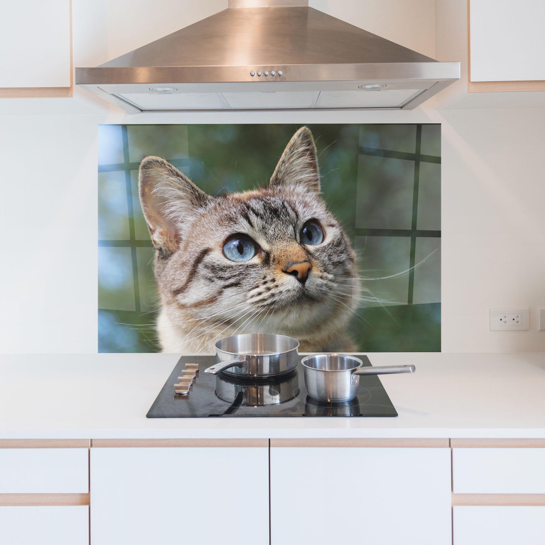 Küchenrückwand Glas Blue Eyes Cutie mockup 5