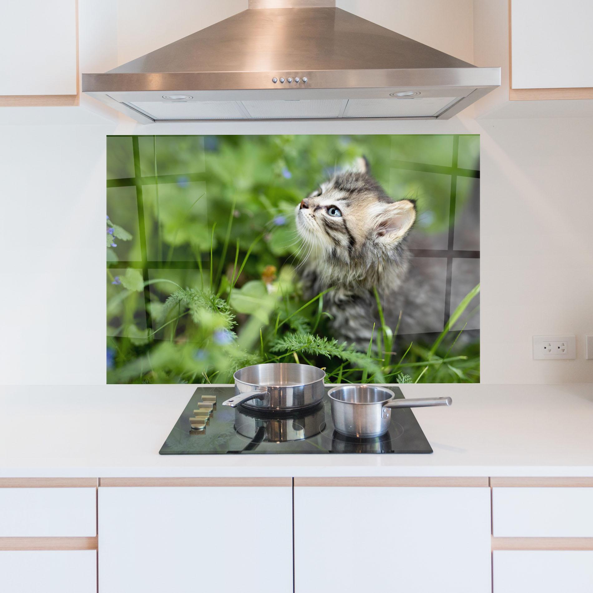 Küchenrückwand Glas Brown Baby Cat mockup 5