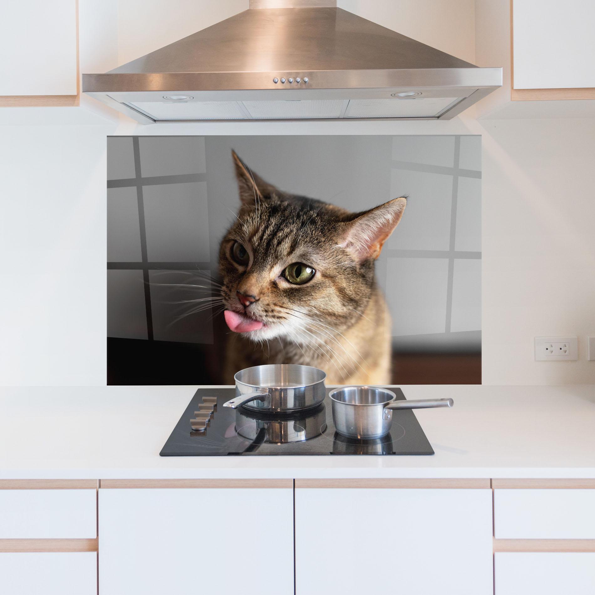 Küchenrückwand Glas Brown Green Eyes Cat mockup 5