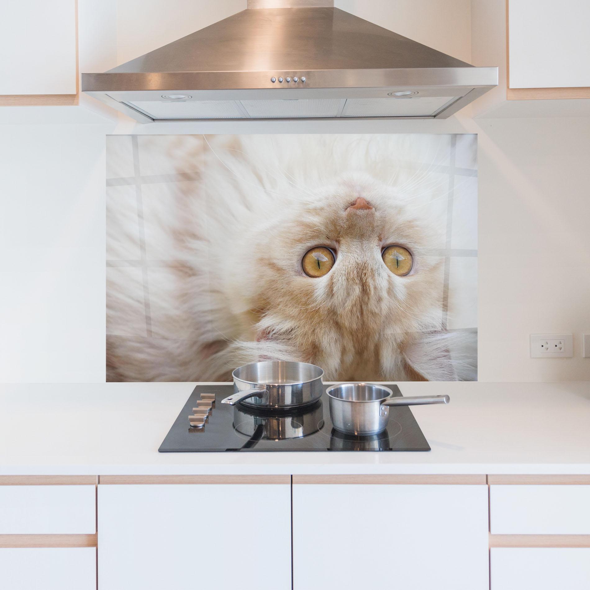 Küchenrückwand Glas Close Up Yellow Eyes Cat mockup 5