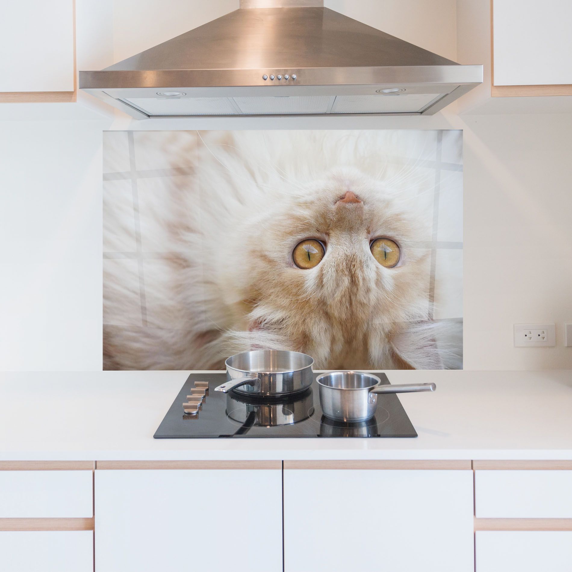 Close Up Yellow Eyes Cat mockup 5