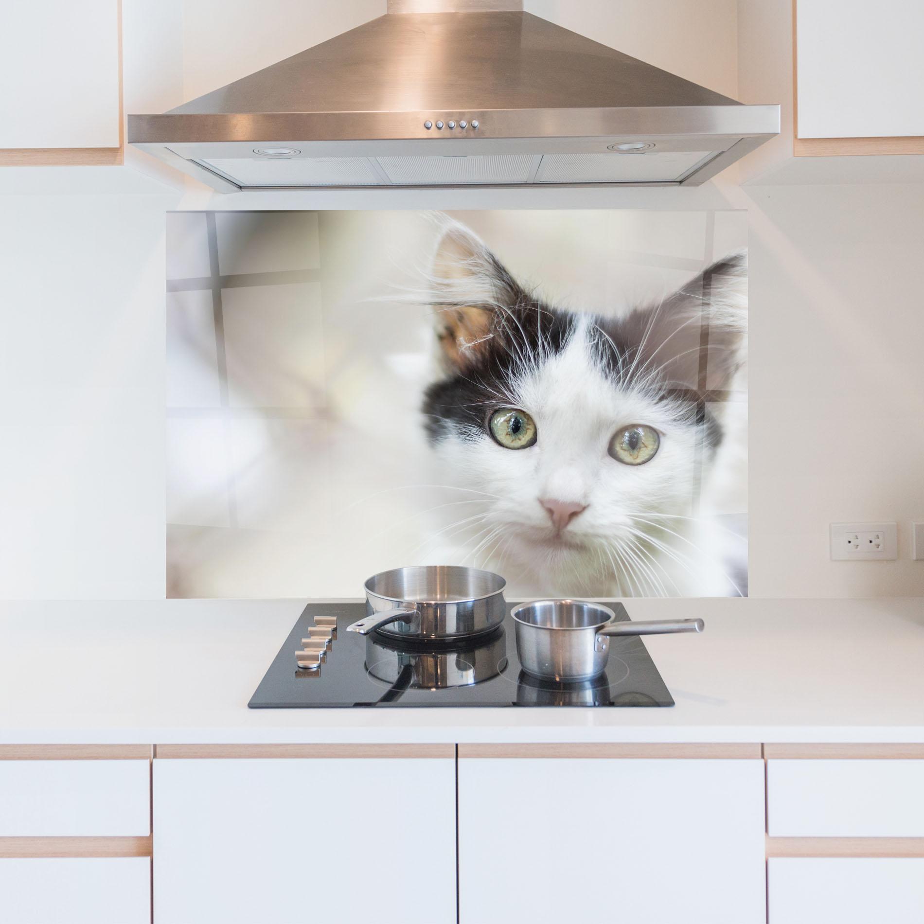 Küchenrückwand Glas Cutie Cat mockup 5