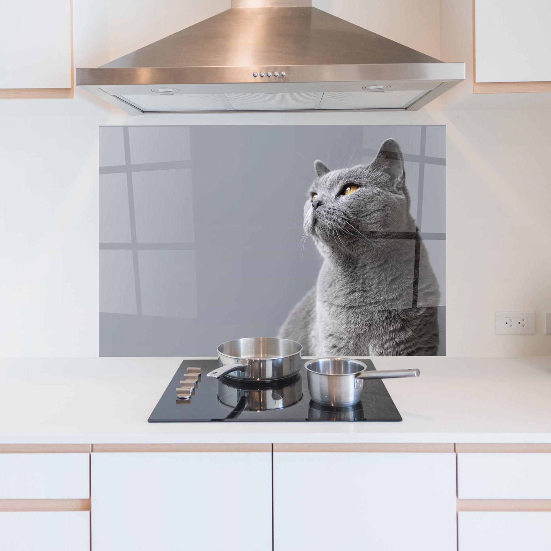 Küchenrückwand Glas Gray Kitty mockup 5