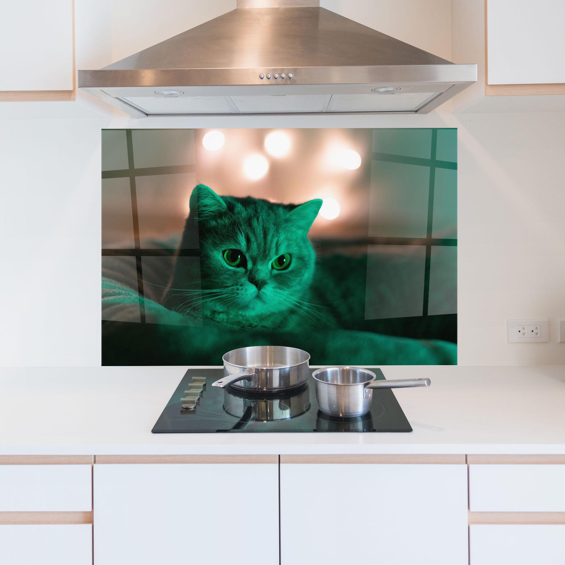Küchenrückwand Glas Green Light Cat mockup 5