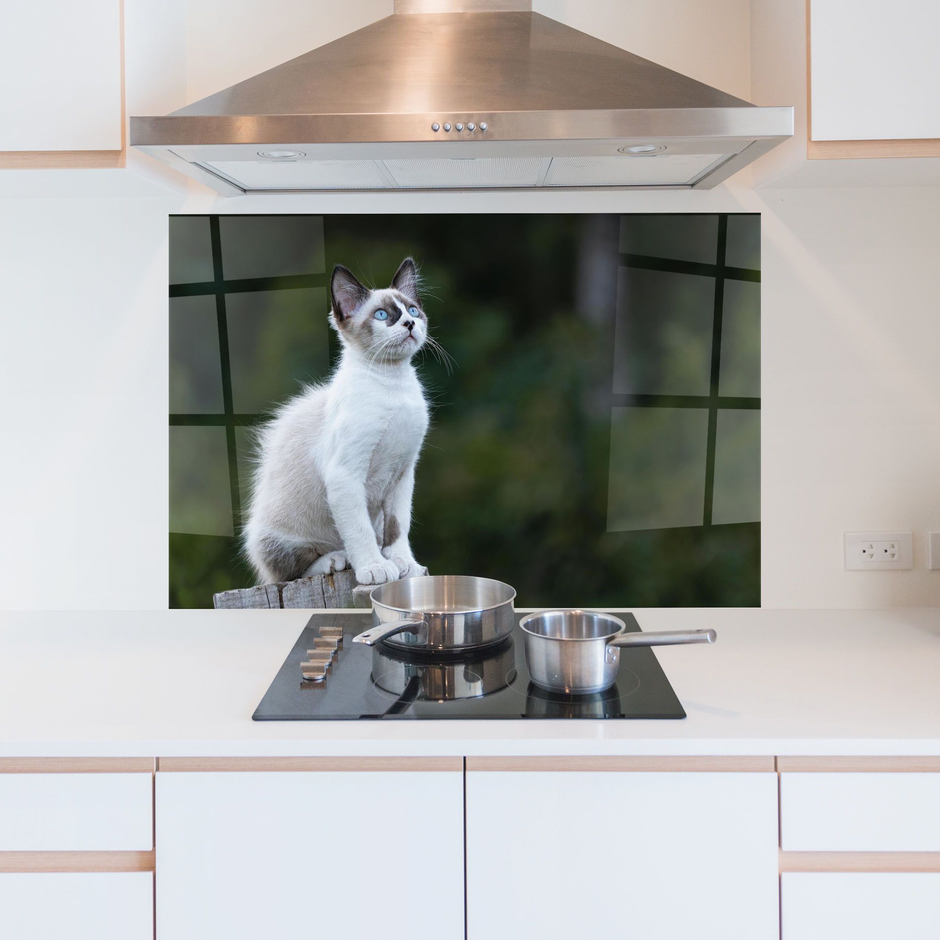 Grey Cat In Nature mockup 5