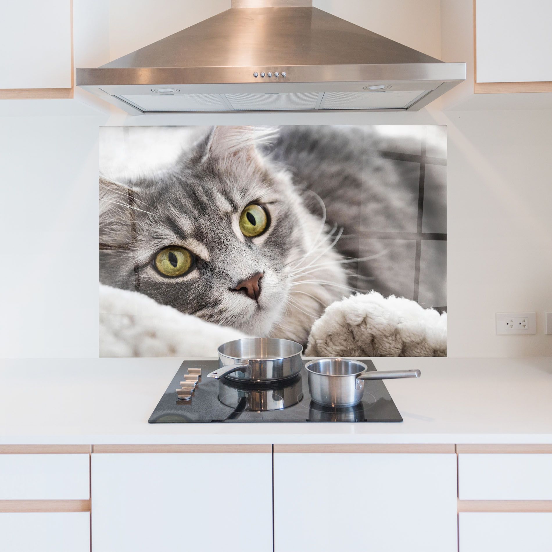 Grey Fluffy Cat mockup 5