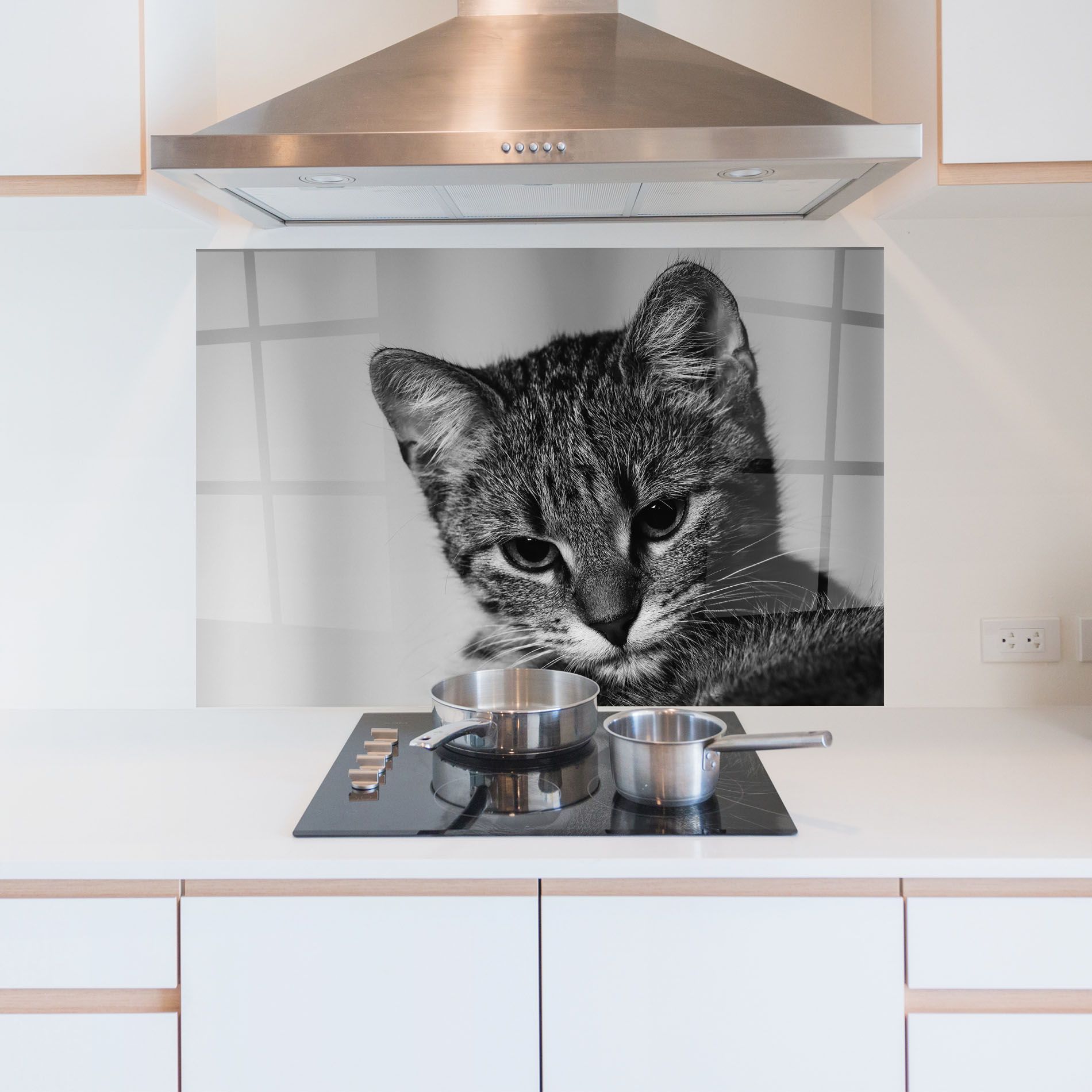 Grey Focused Cat mockup 5