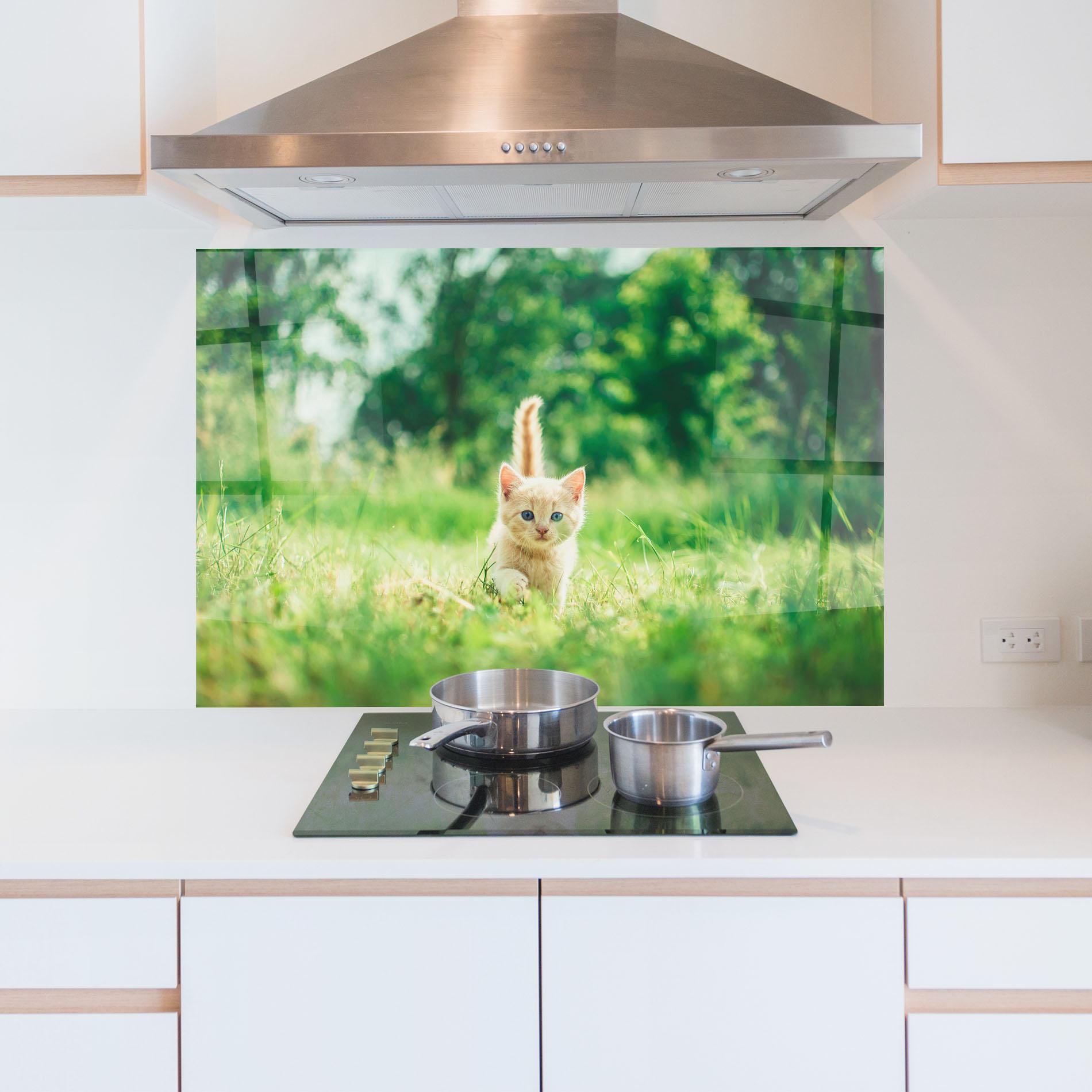 Küchenrückwand Glas Little Cute Cat mockup 5