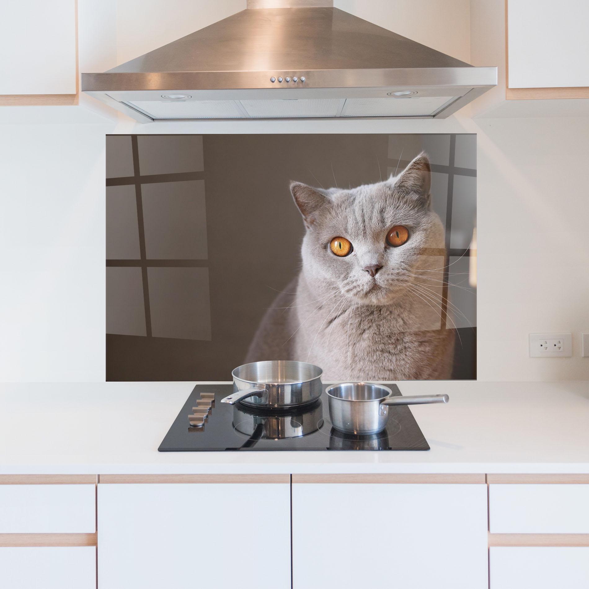 Küchenrückwand Glas Orange Eyes Cat mockup 5