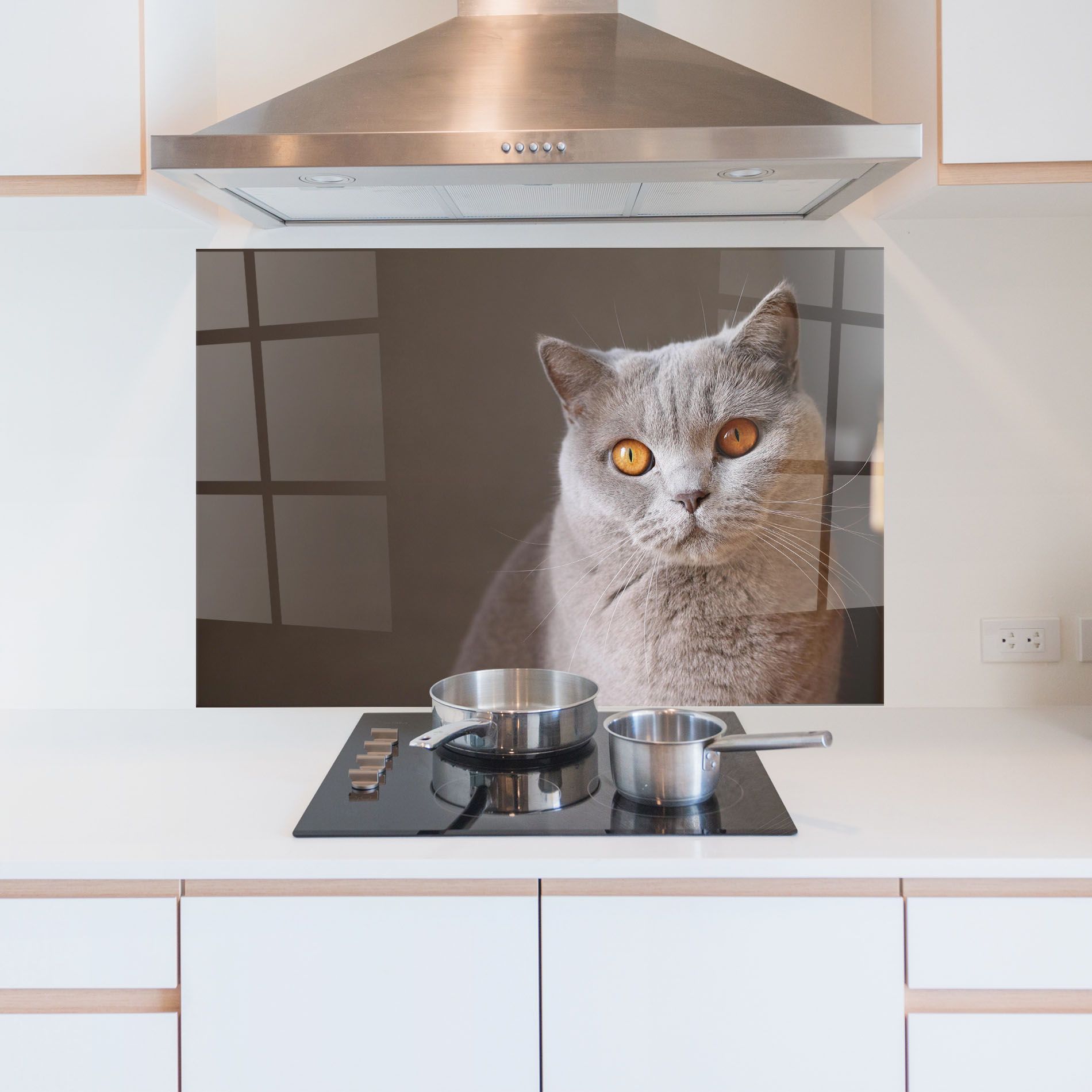 Orange Eyes Cat mockup 5