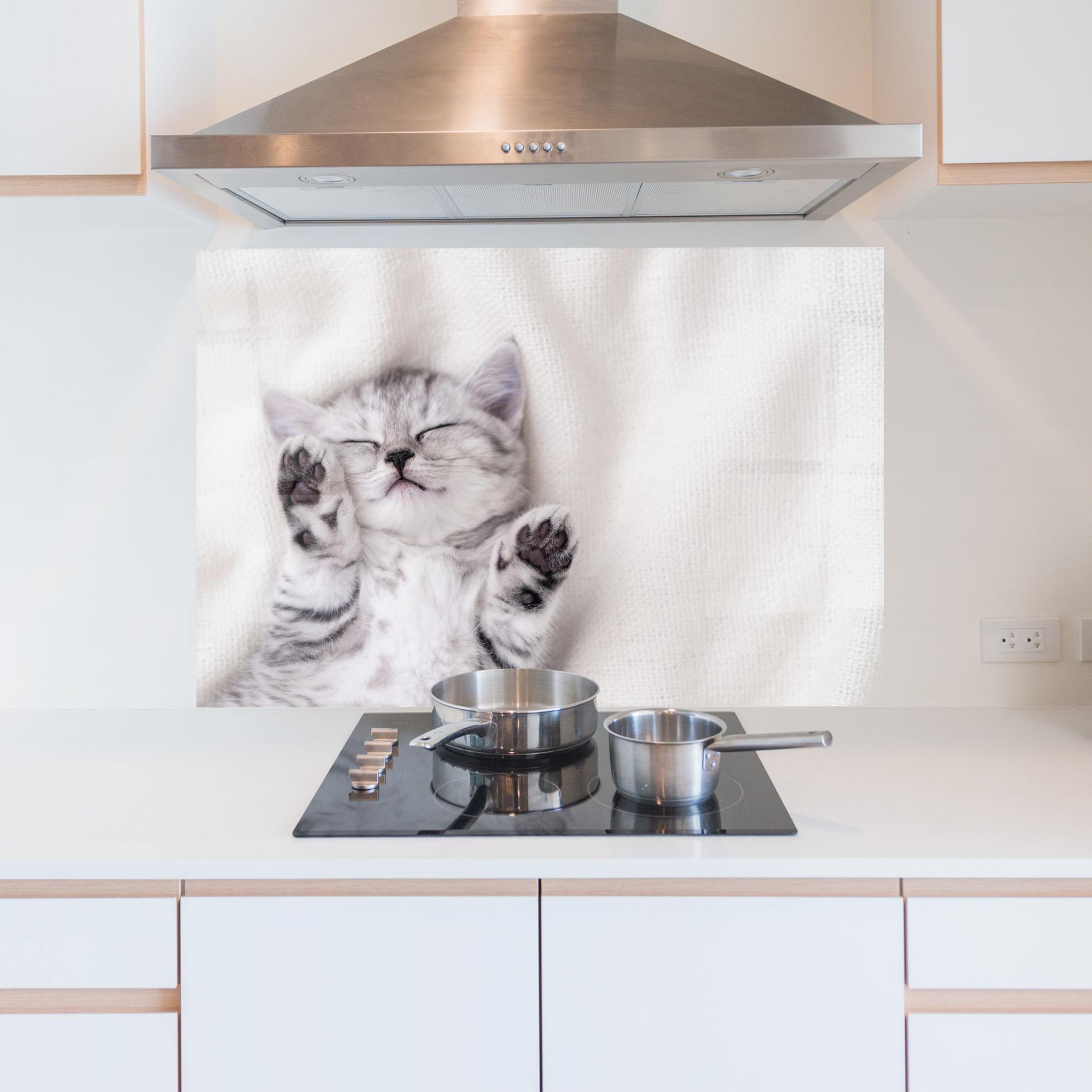 Küchenrückwand Glas Pretty Baby Cat mockup 5