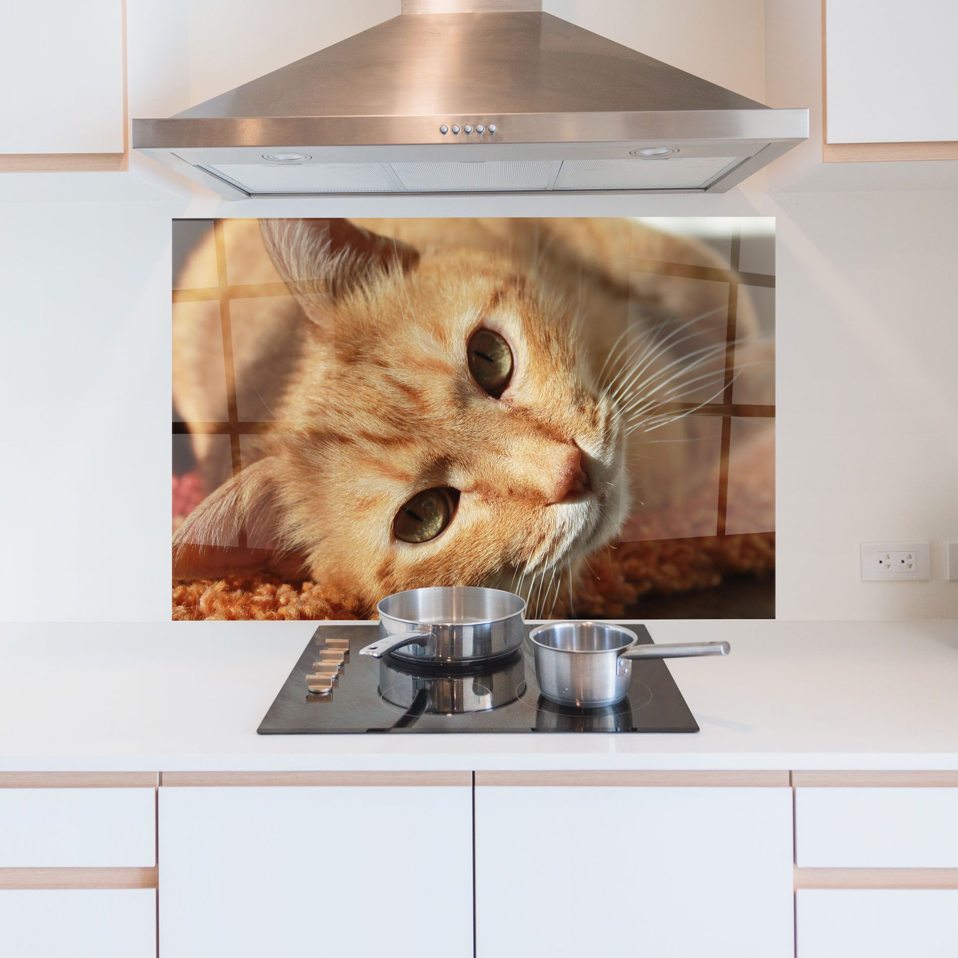 Pretty Orange Cat mockup 5