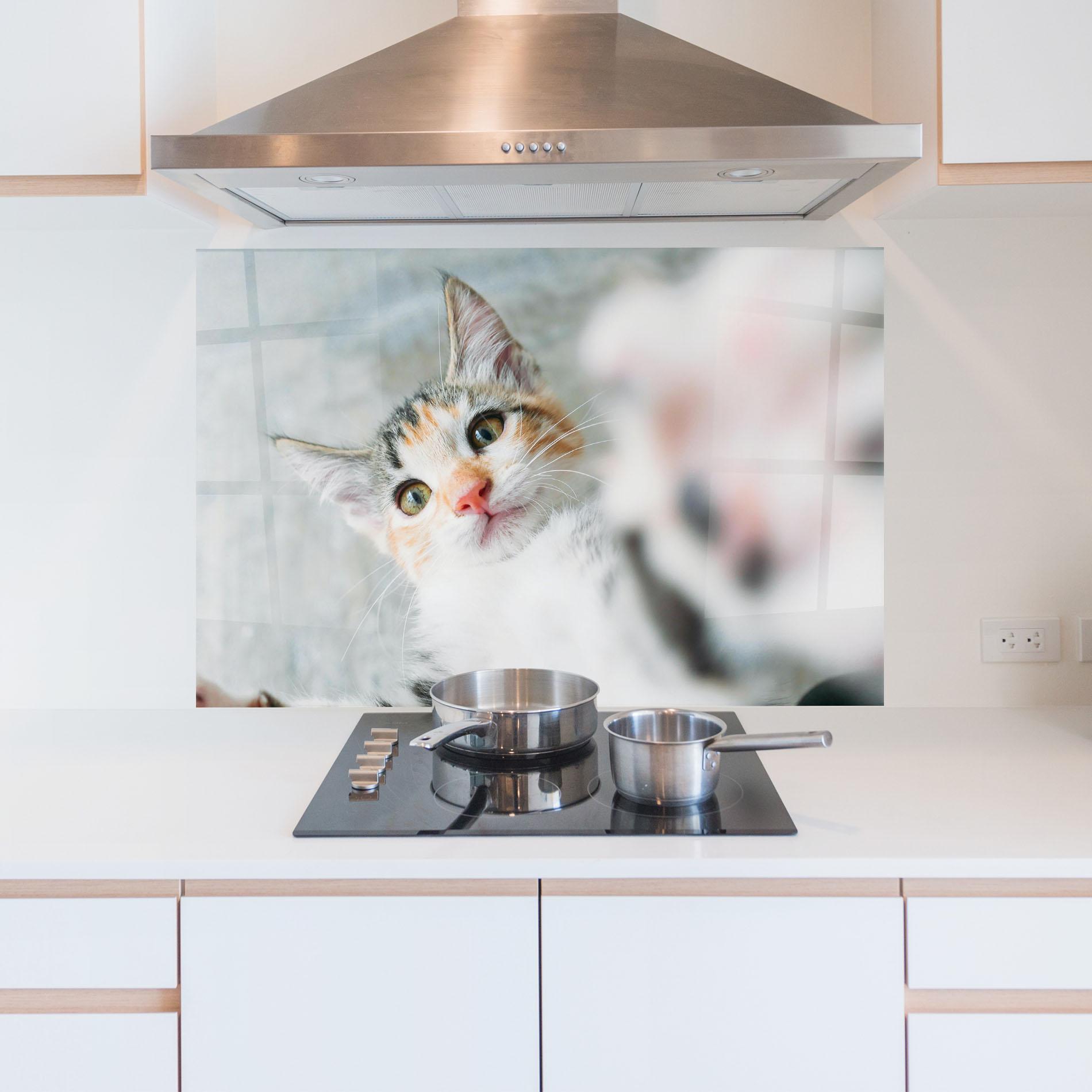 Küchenrückwand Glas Pretty Pink Nose Cat mockup 5