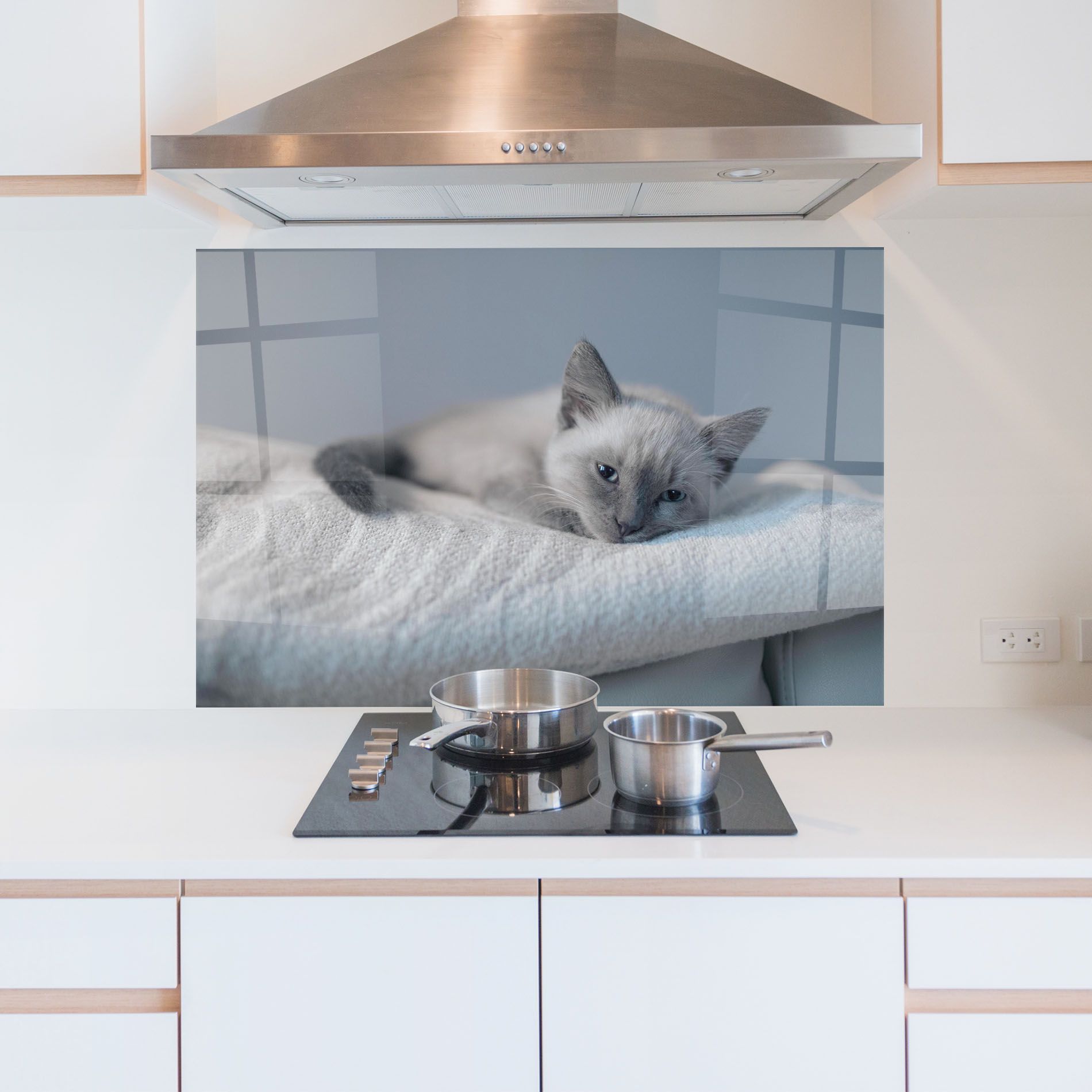 Sleepy Grey Cat mockup 5