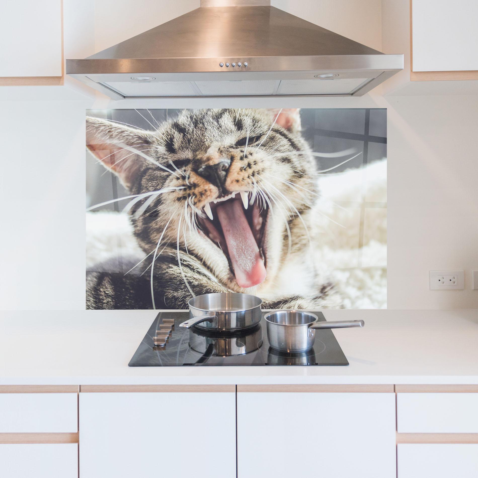 Küchenrückwand Glas Wroar Cat mockup 5
