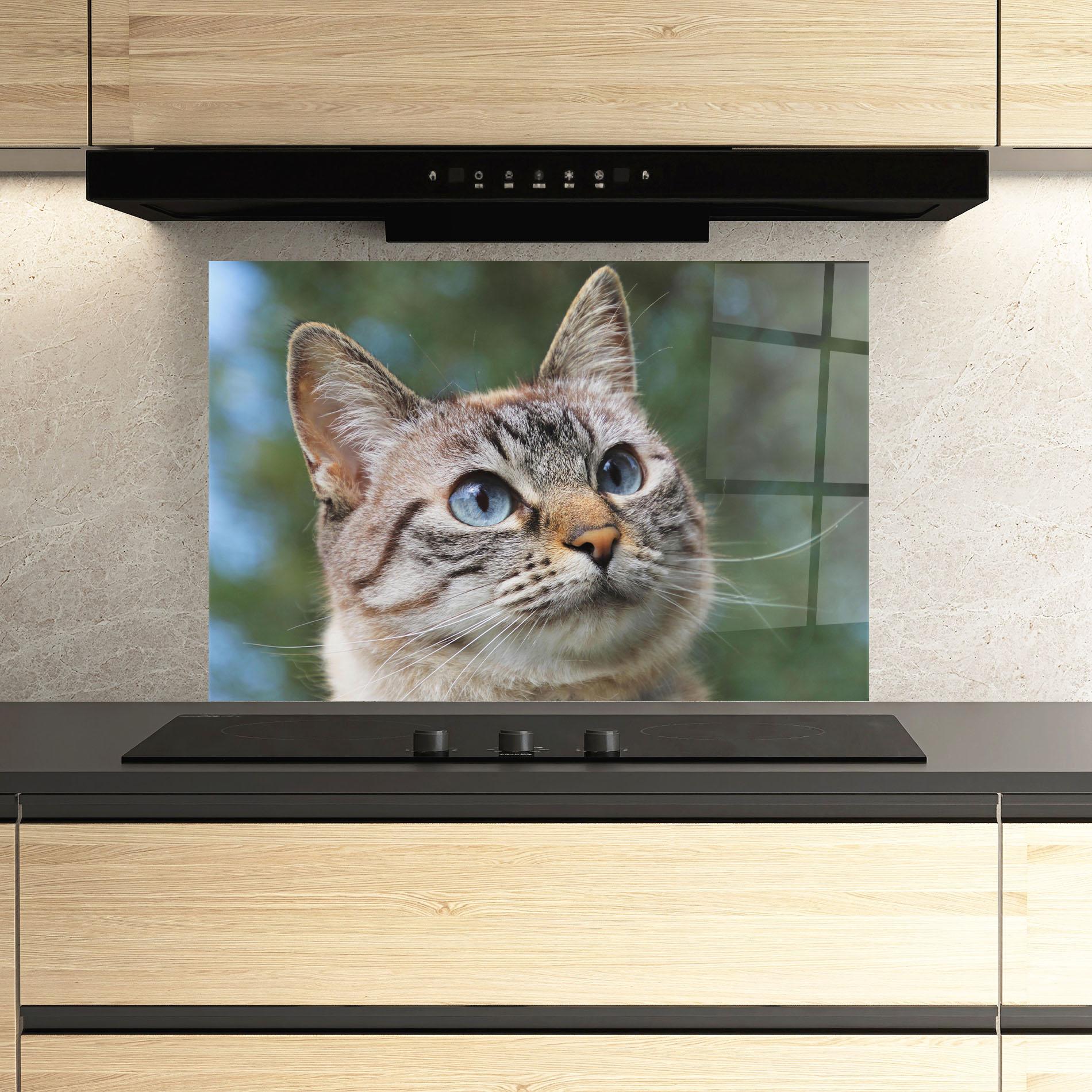 Küchenrückwand Glas Blue Eyes Cutie mockup 3