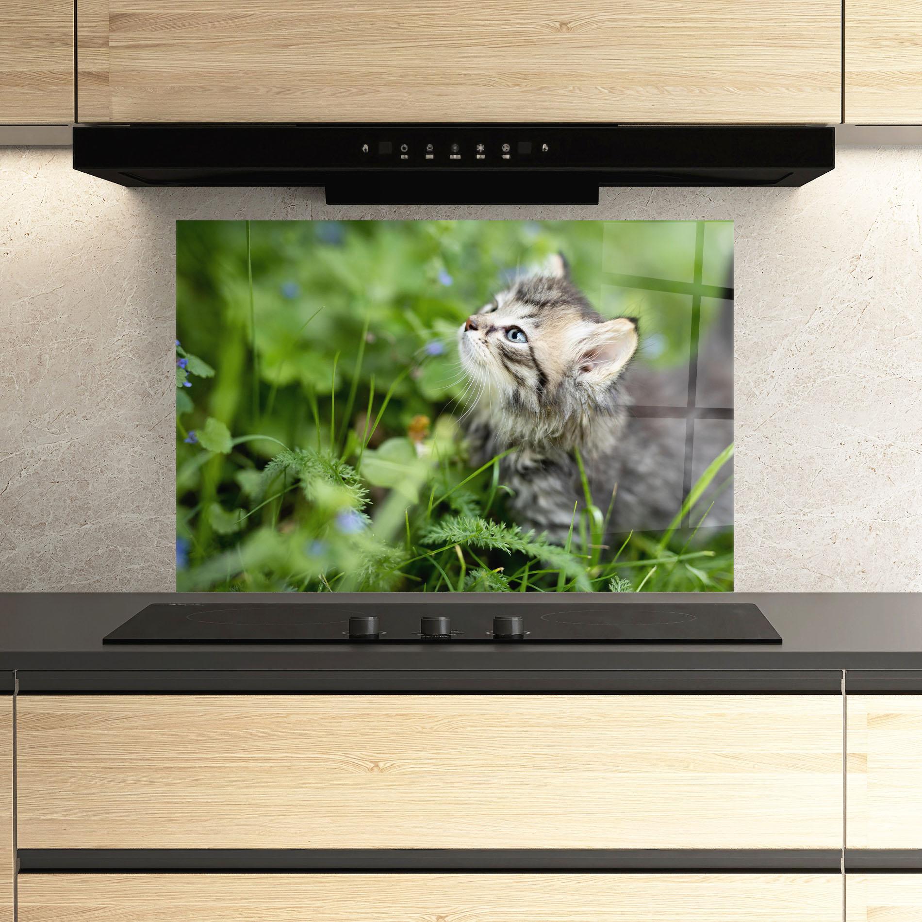 Küchenrückwand Glas Brown Baby Cat mockup 3