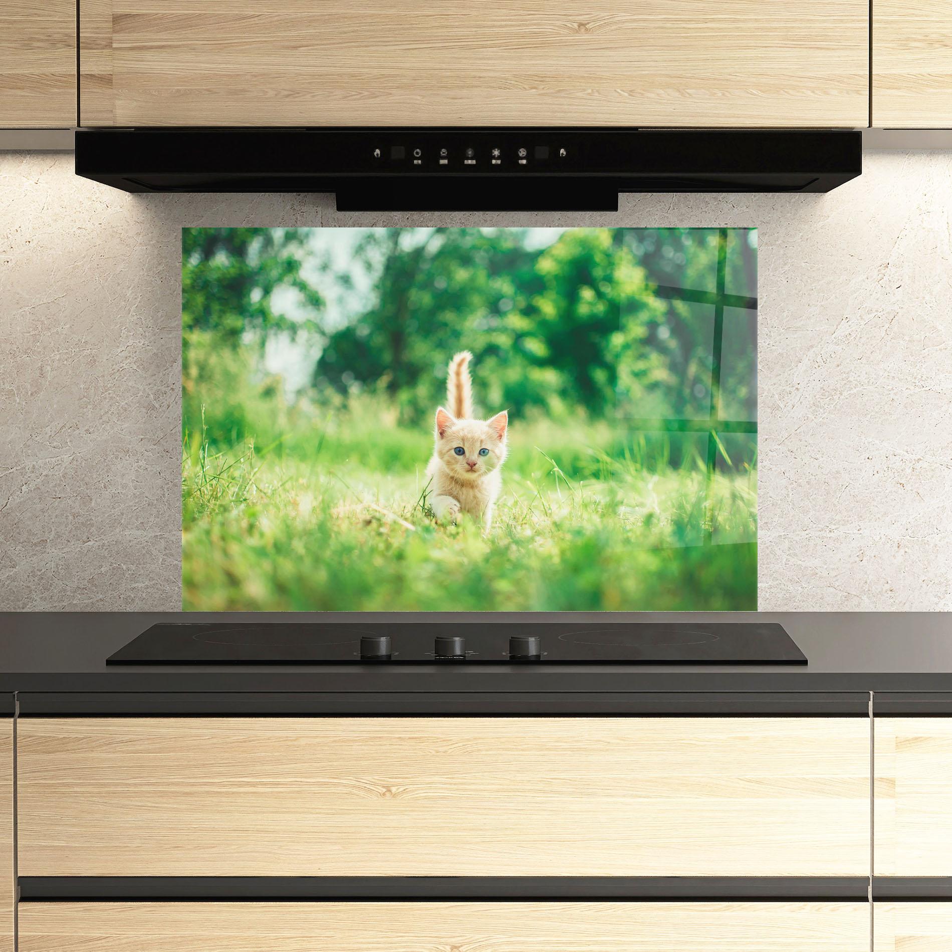 Küchenrückwand Glas Little Cute Cat mockup 3