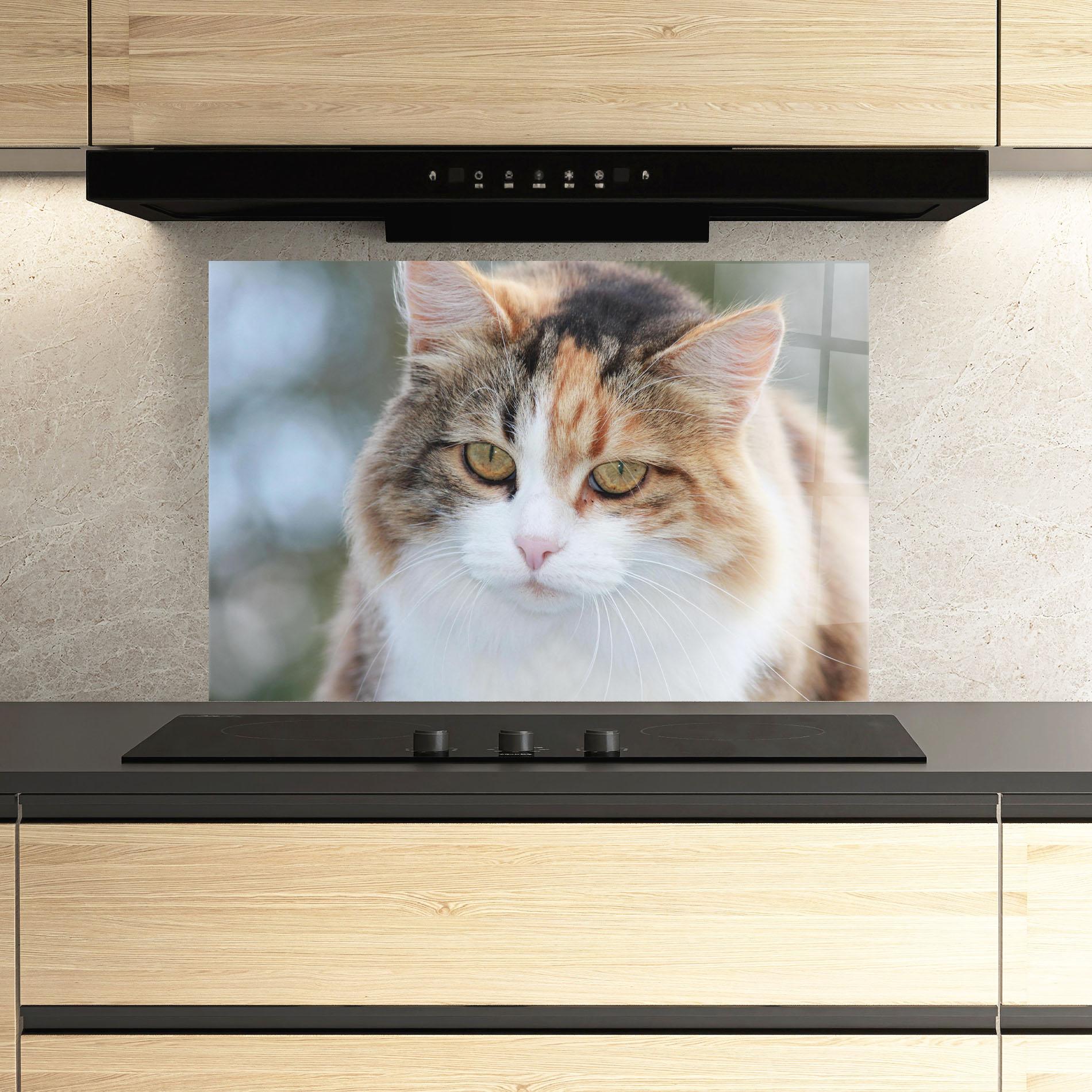 Küchenrückwand Glas Orange Brown Cat mockup 3